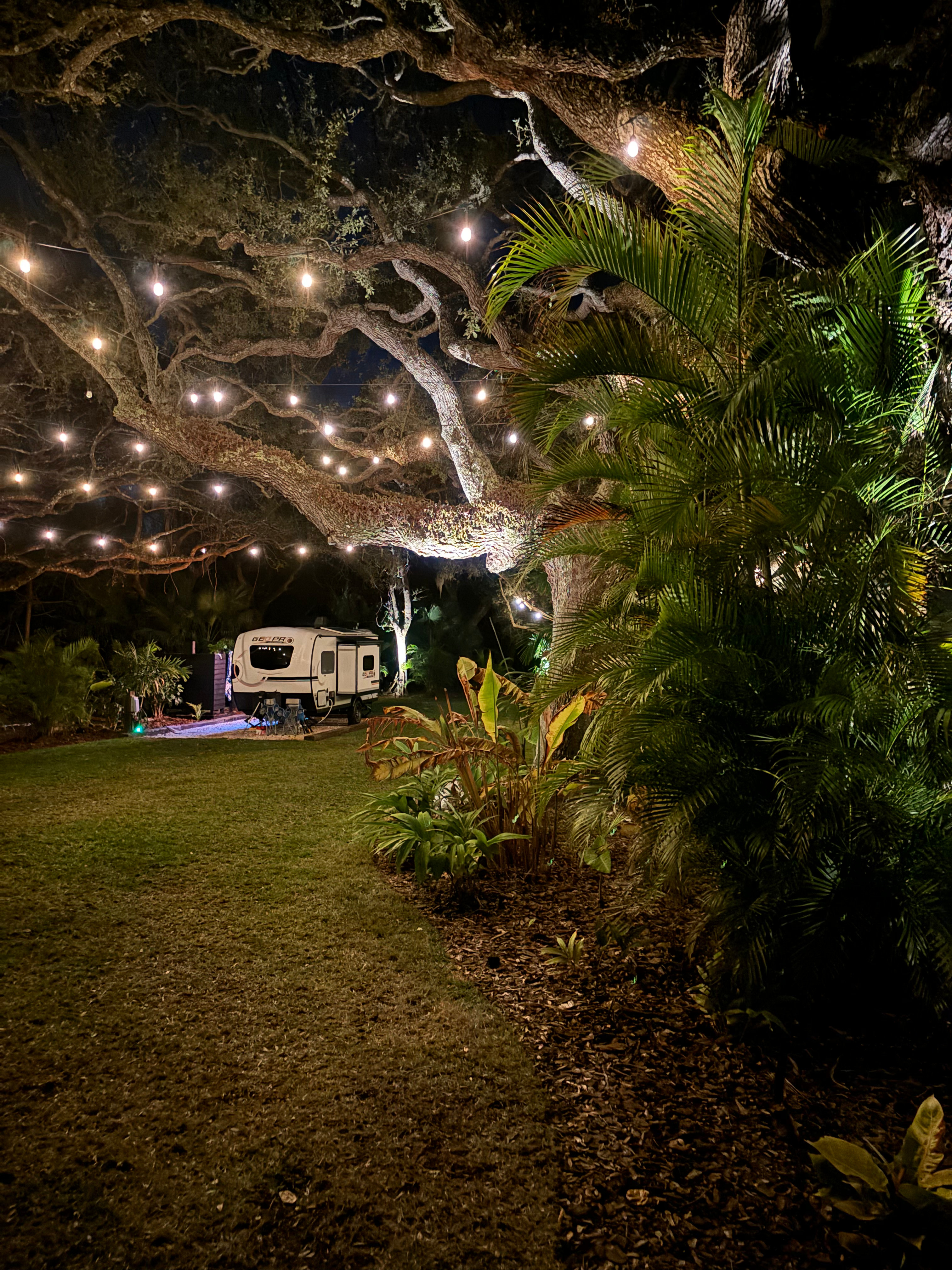 Night time lights and tranquility 