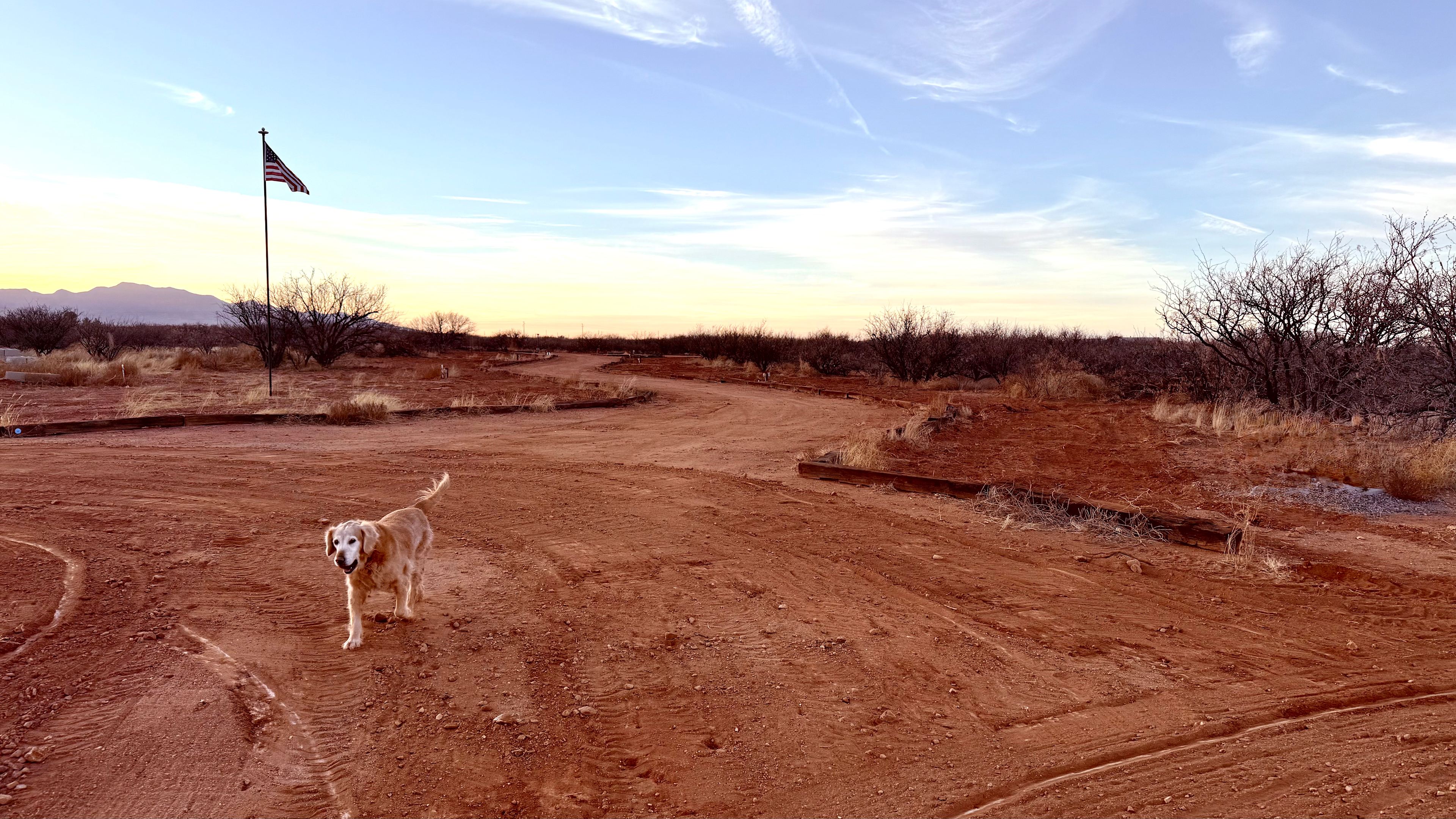 Mesquite Meadows