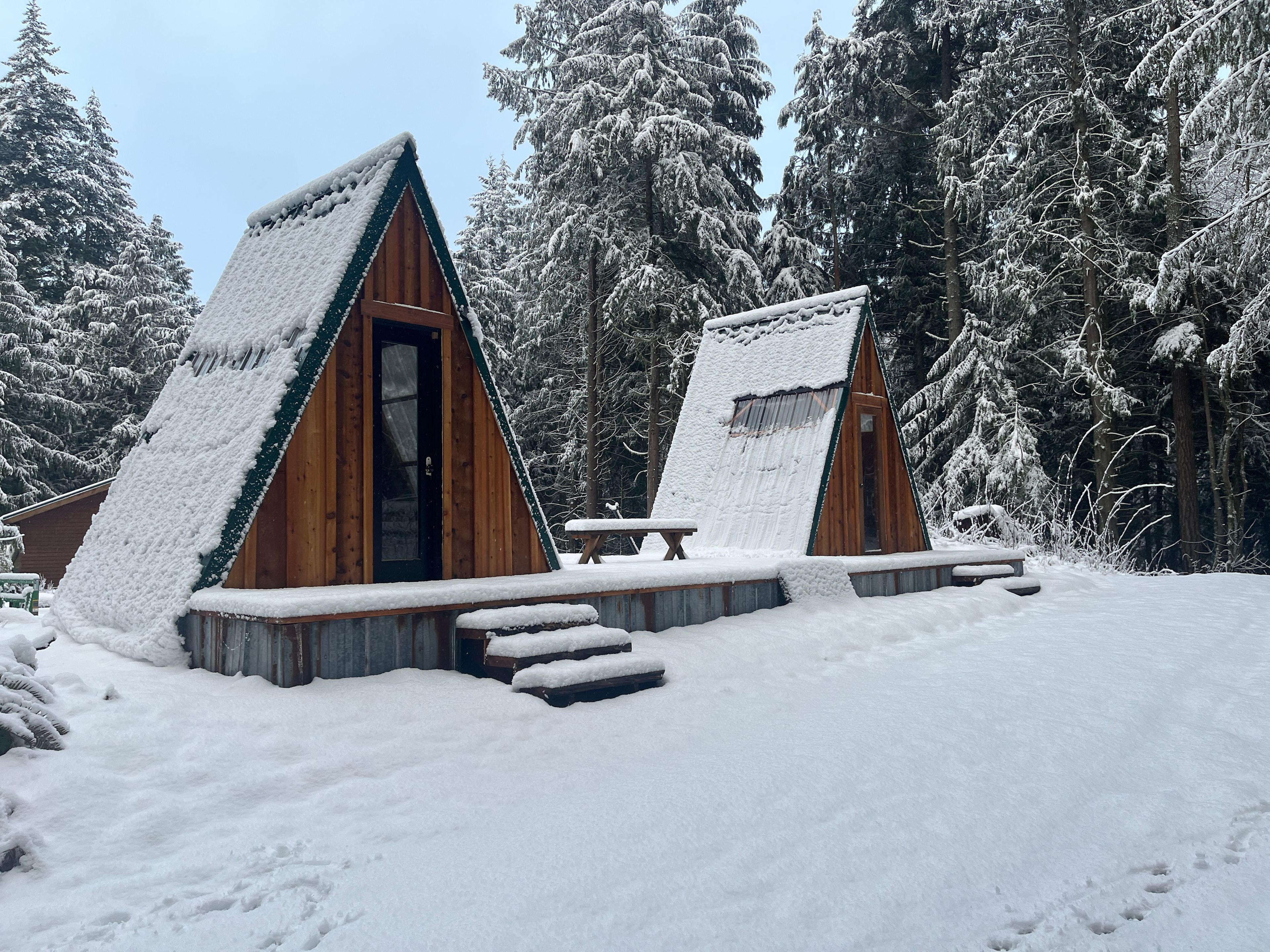 Forest Farm Camping & Coffee