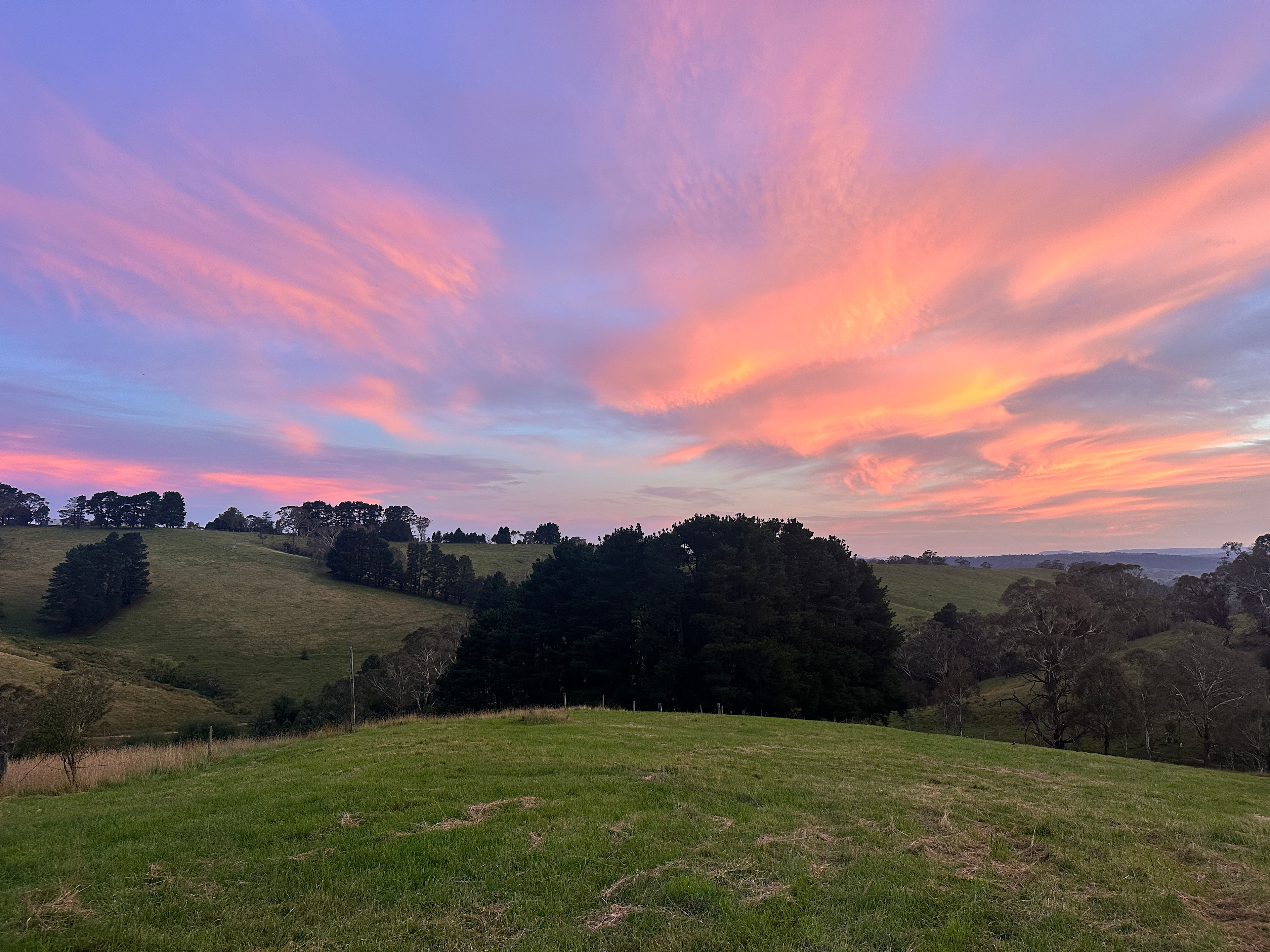 Afternoon Sunsets