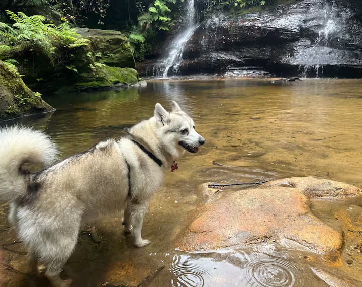 Wild Valley Art Park