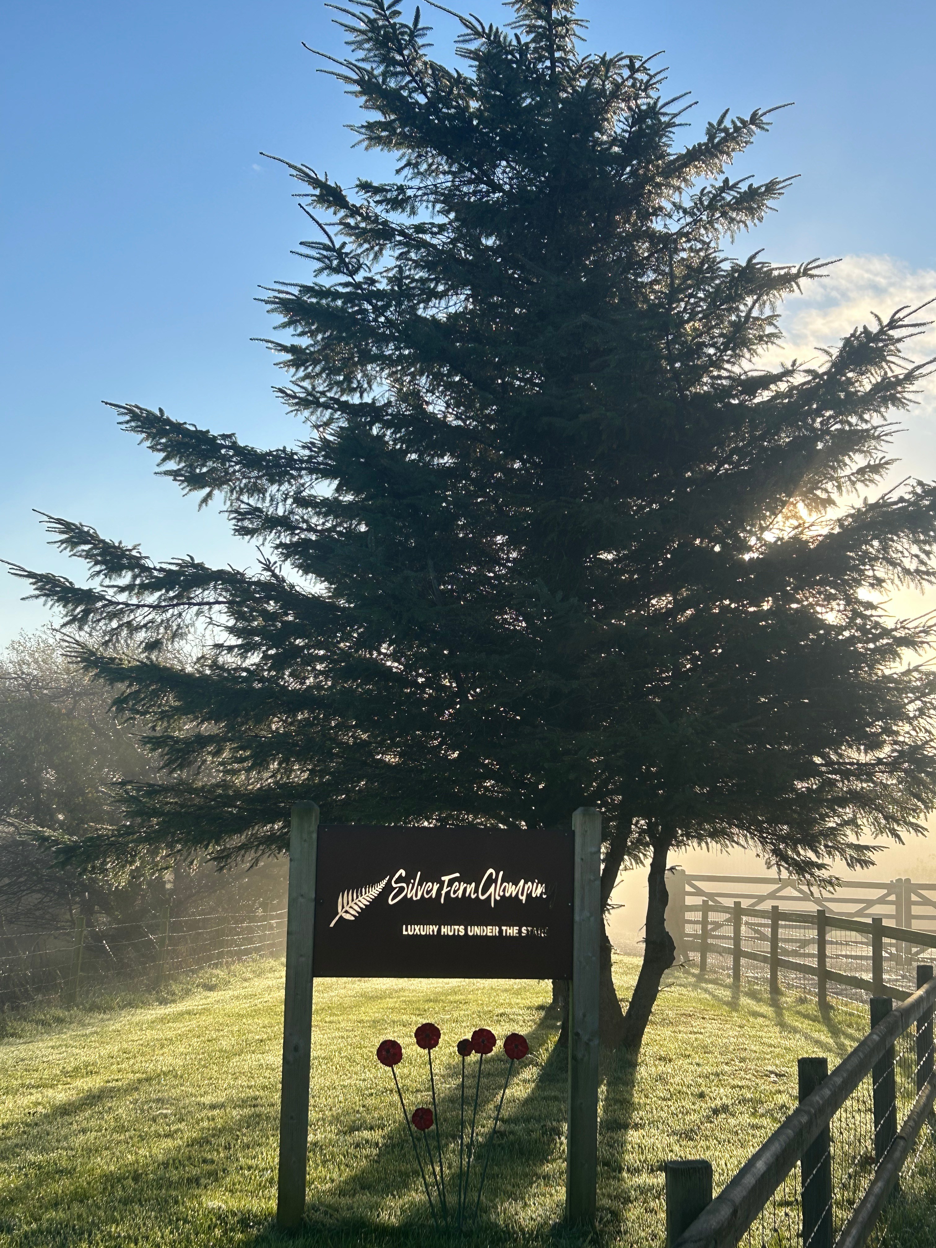 Silver Fern Glamping