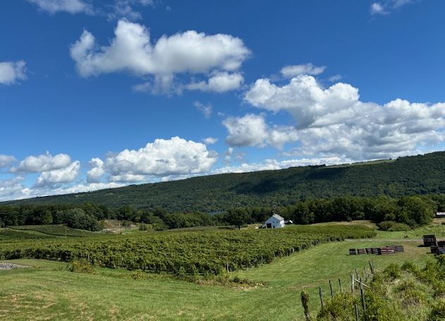 Grapevine Getaway At Ryan Vineyards