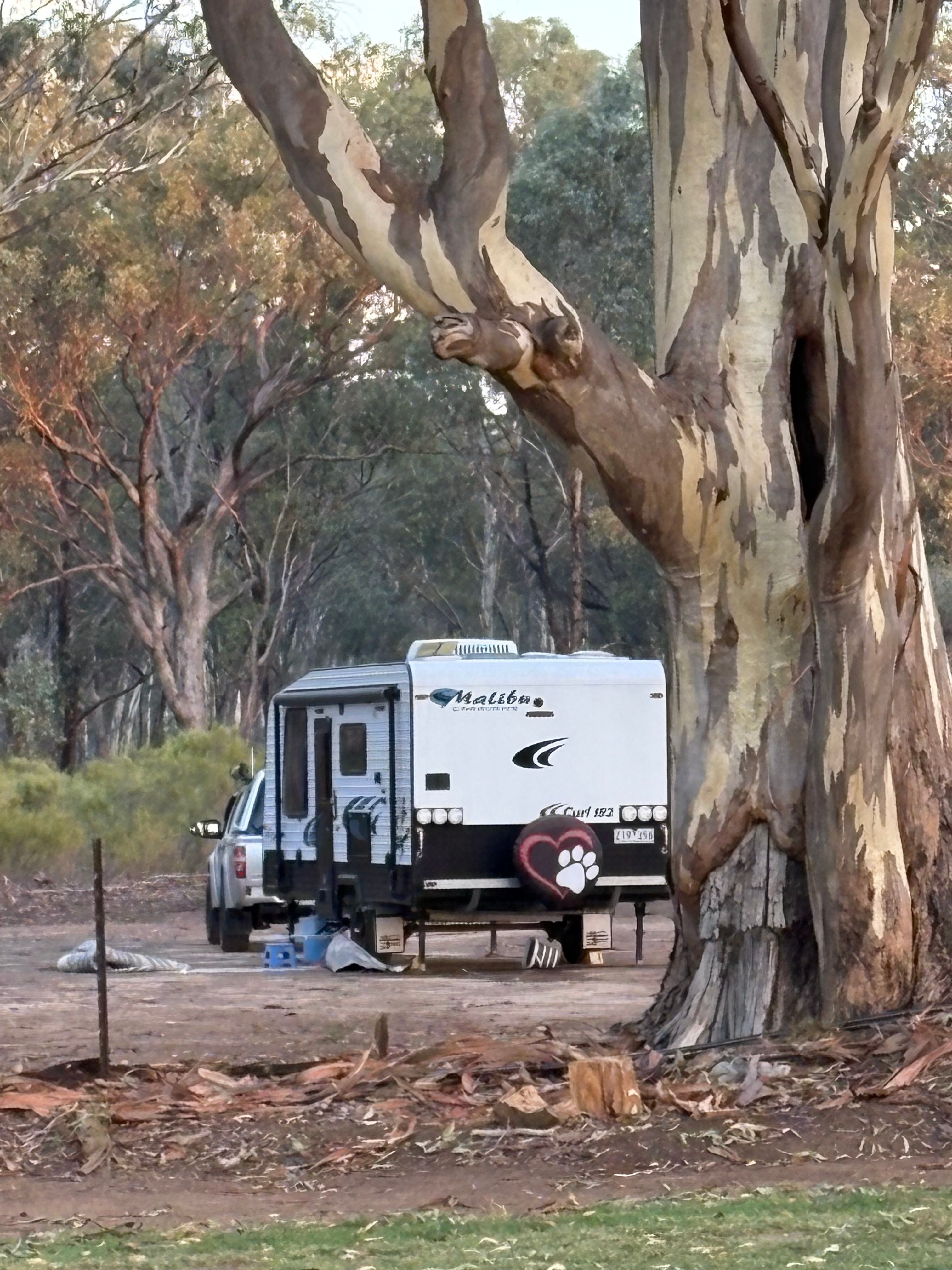 Heaps of room but we chose this area