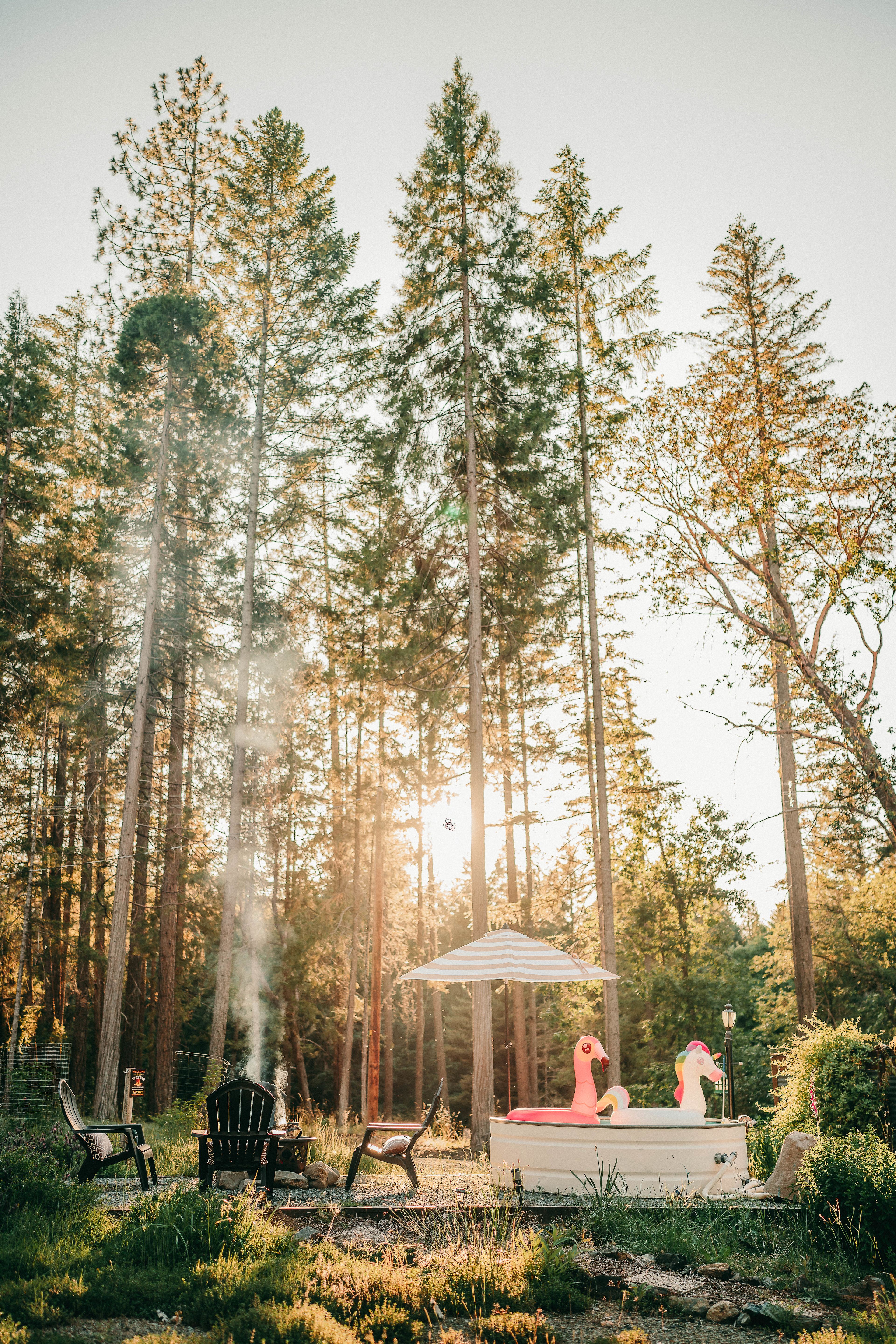 Tiny Cabins at Triple Nickel Pines