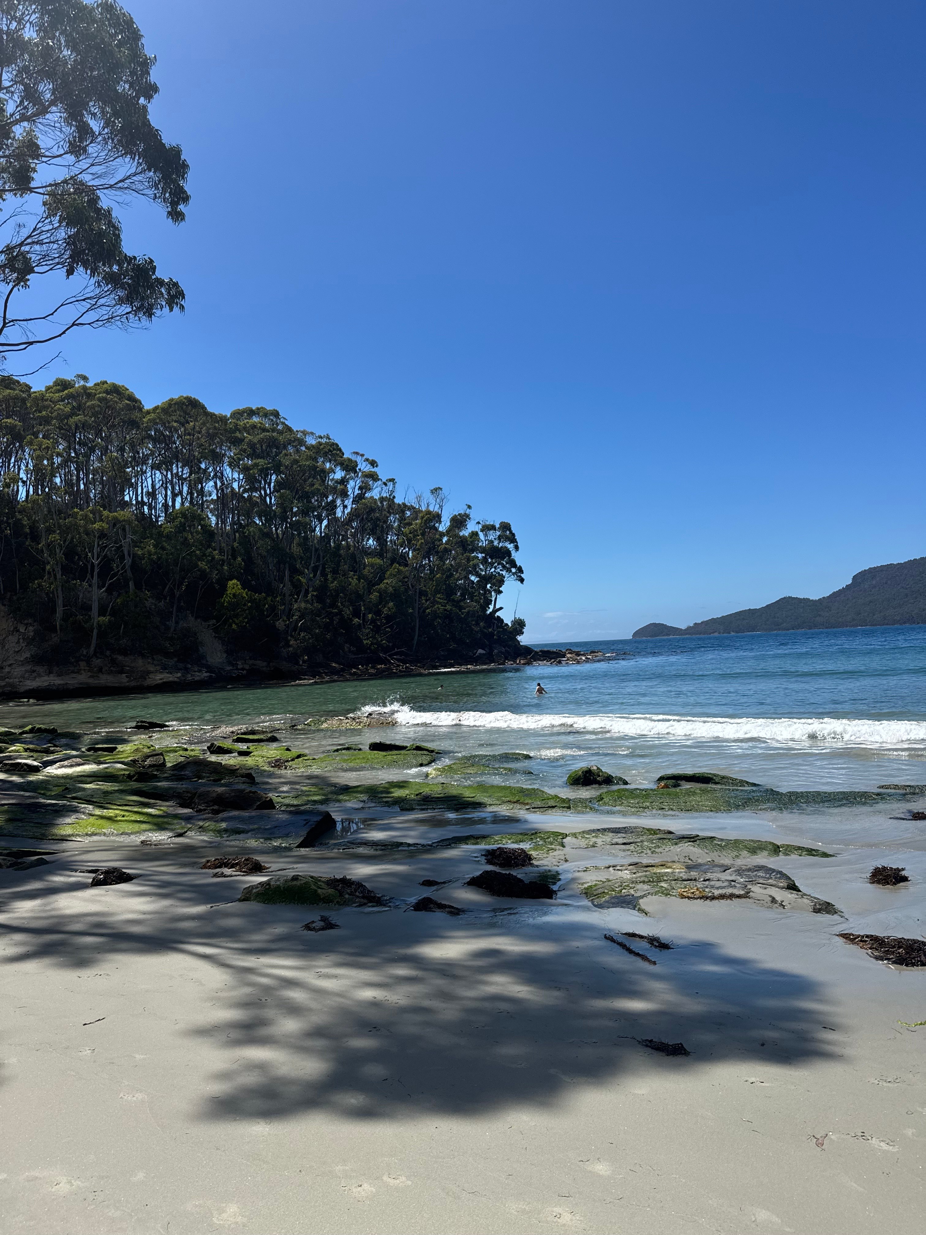 Beach Views - Resolution Farm