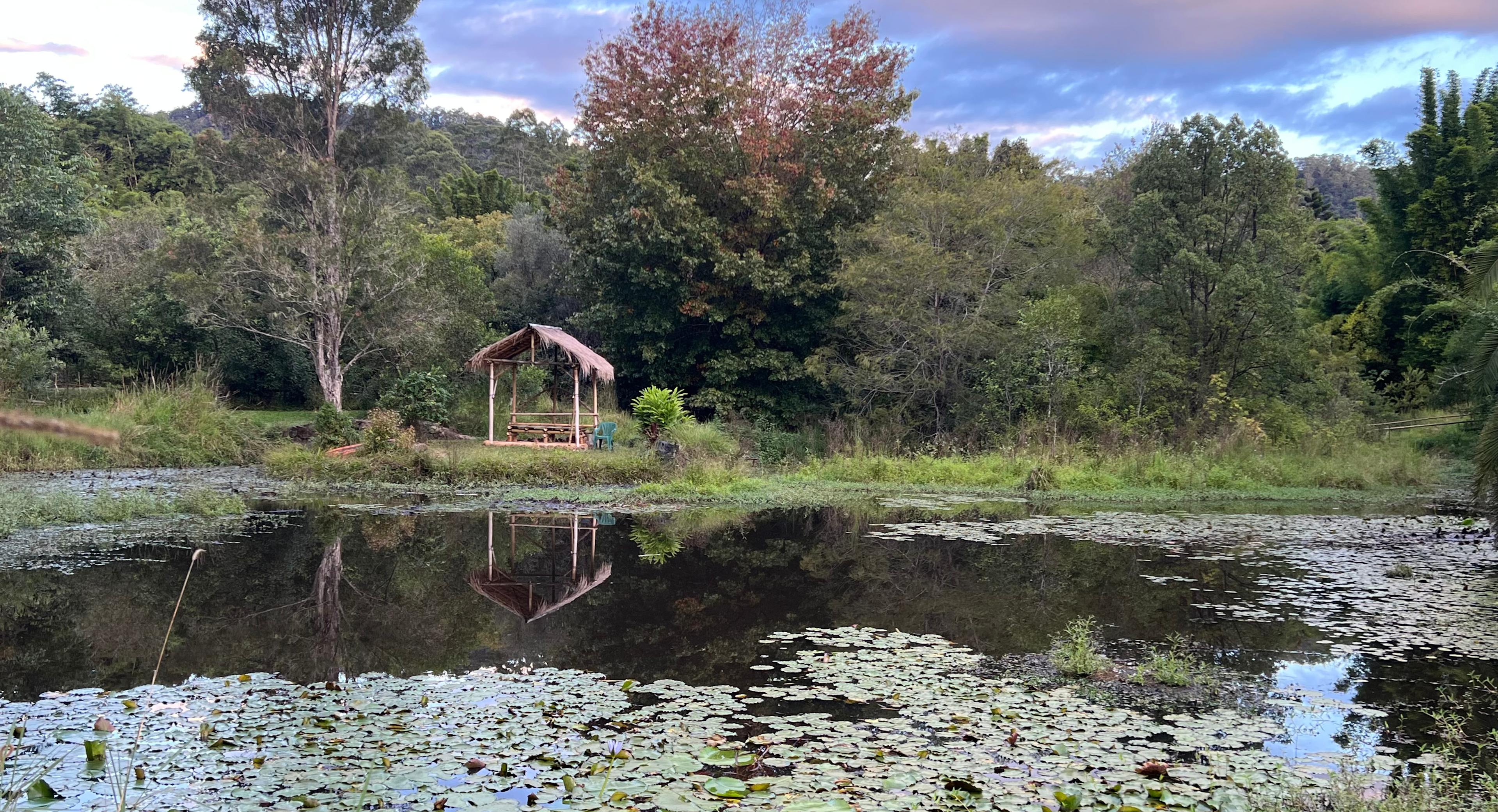 Bamboo gazebo in the island is accessible via a quaint stone bridge guarded by a life-size troll. A delightful place to enjoy the peace and best spot for watching the sun set over the lily pond