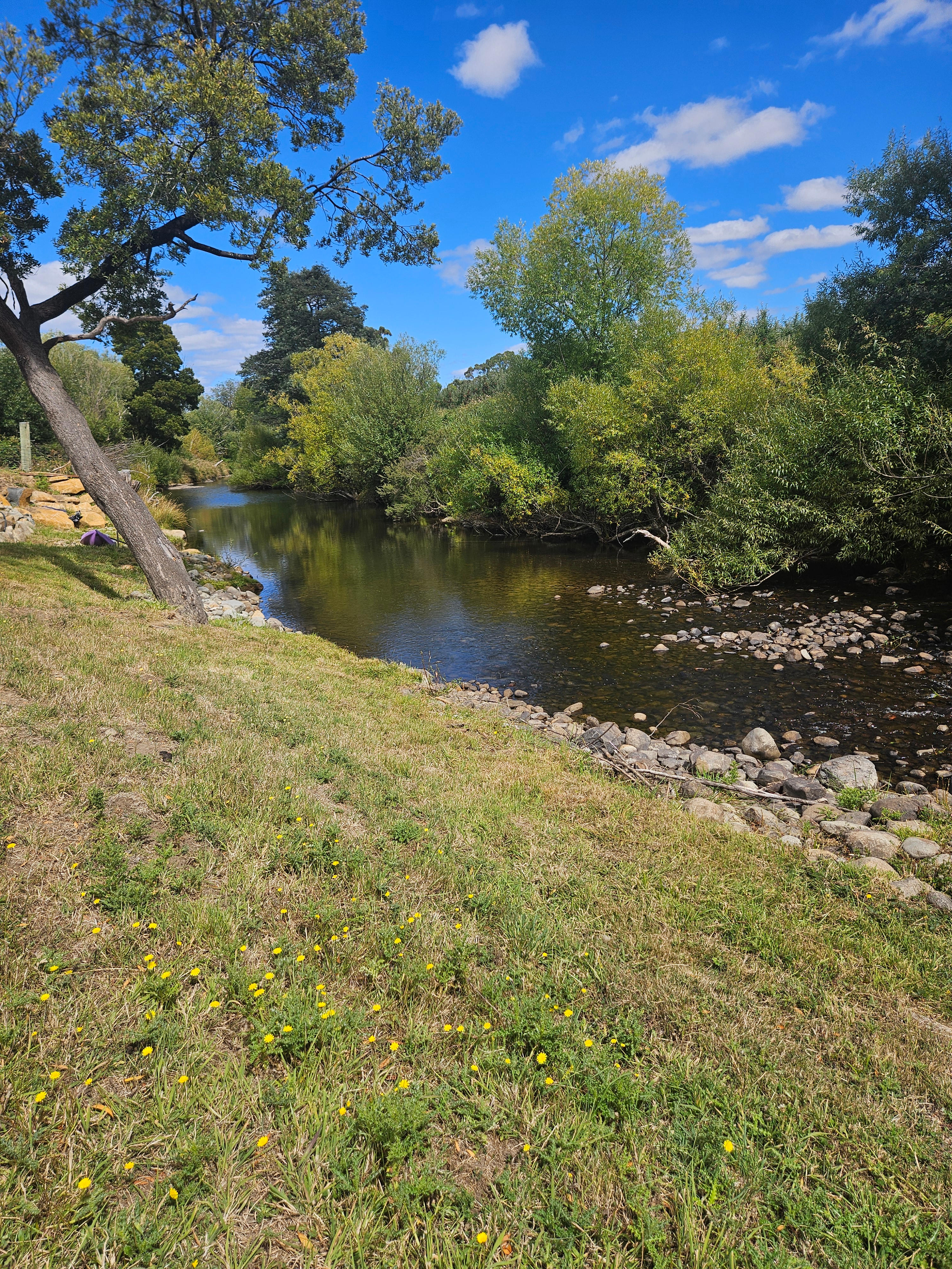 Huon Valley Riverside Camping