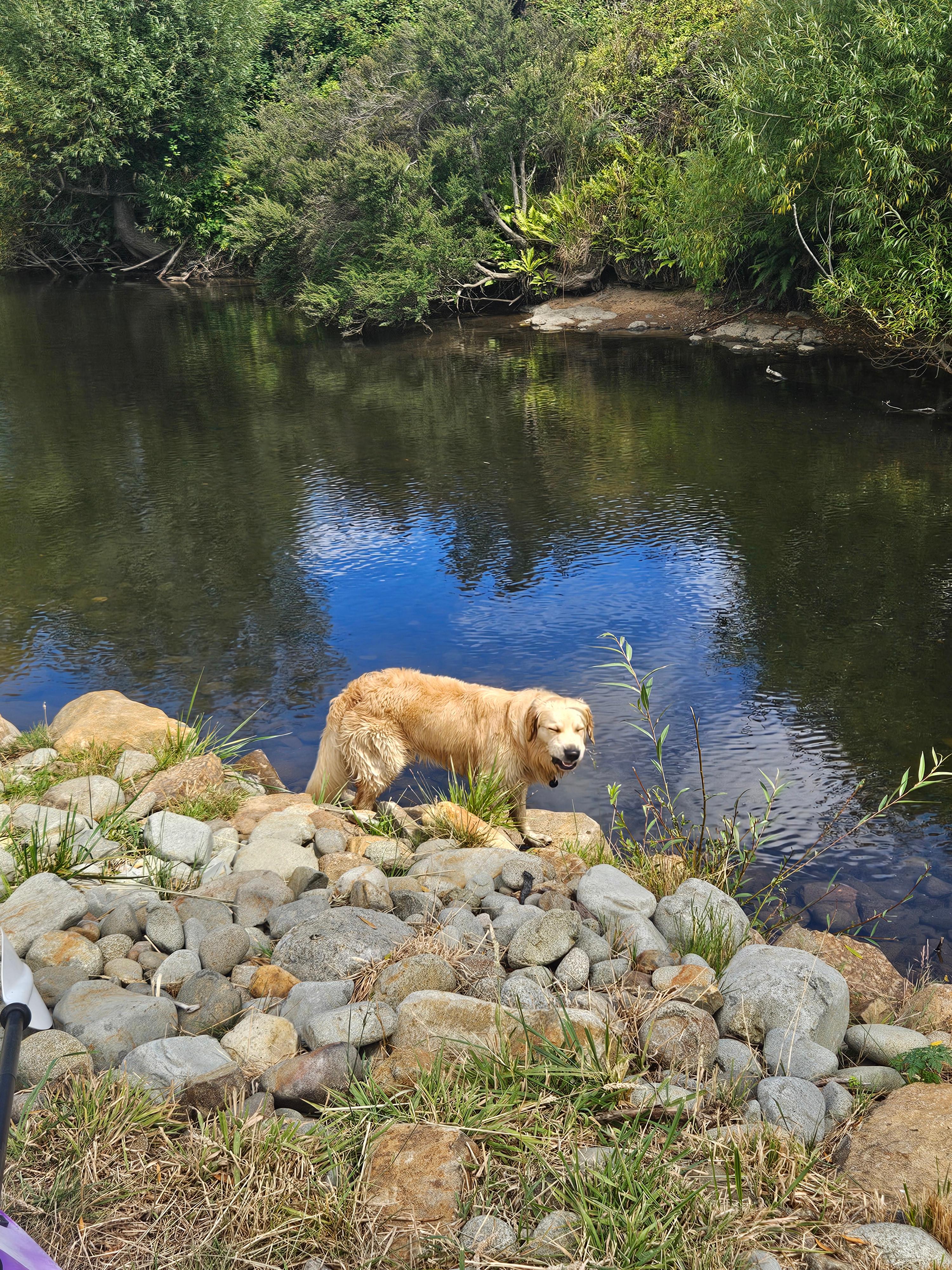 Huon Valley Riverside Camping