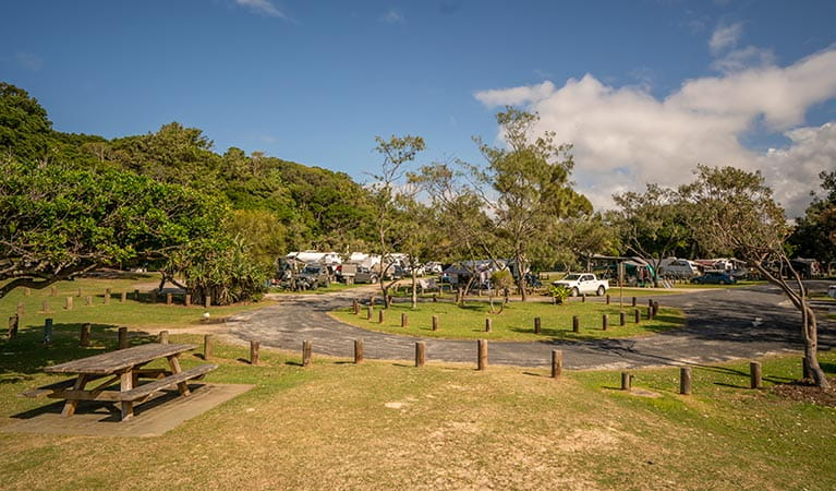 Woody Head group campground
