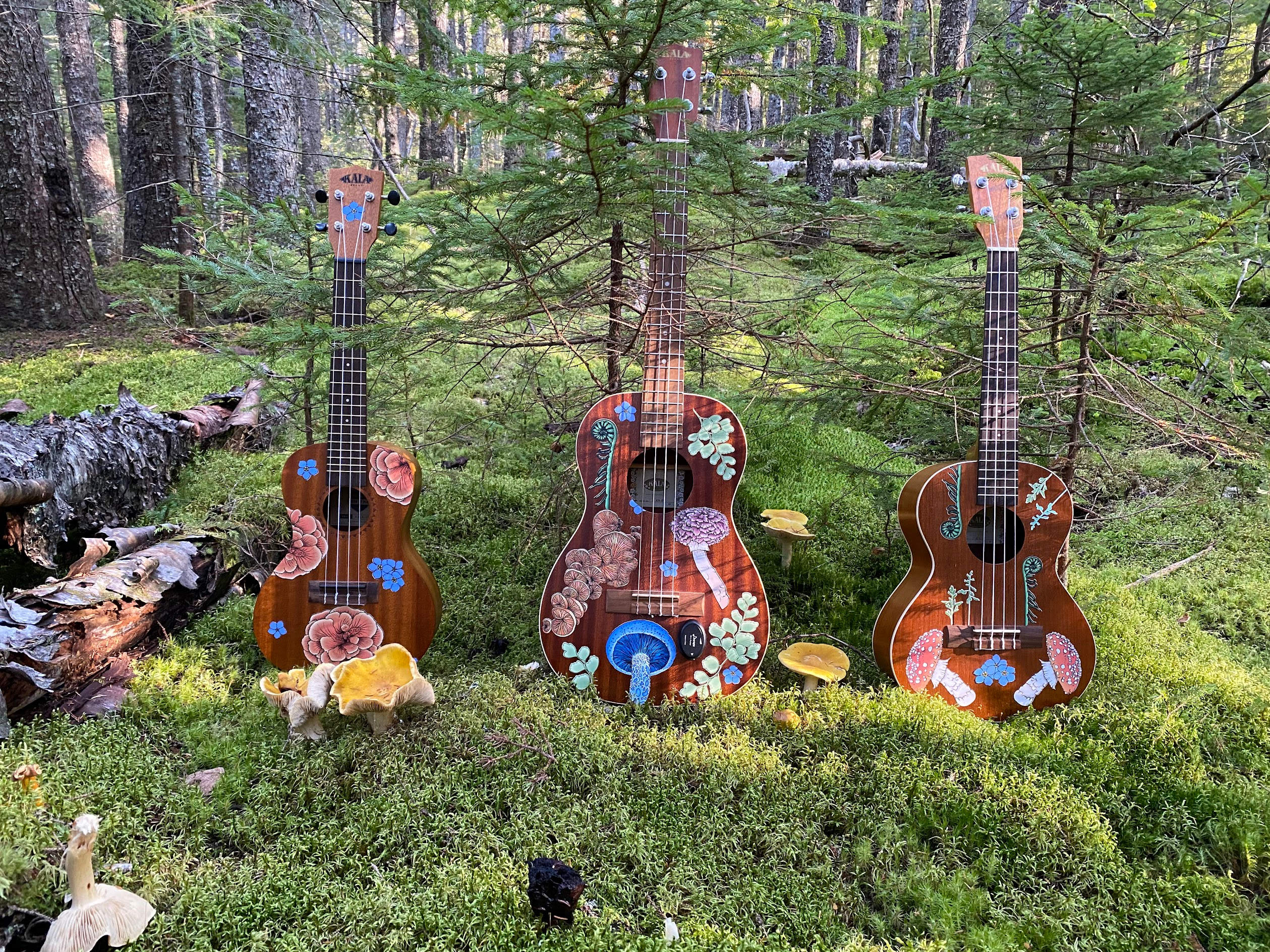 Mother Mushroom Brewery & Farmstay