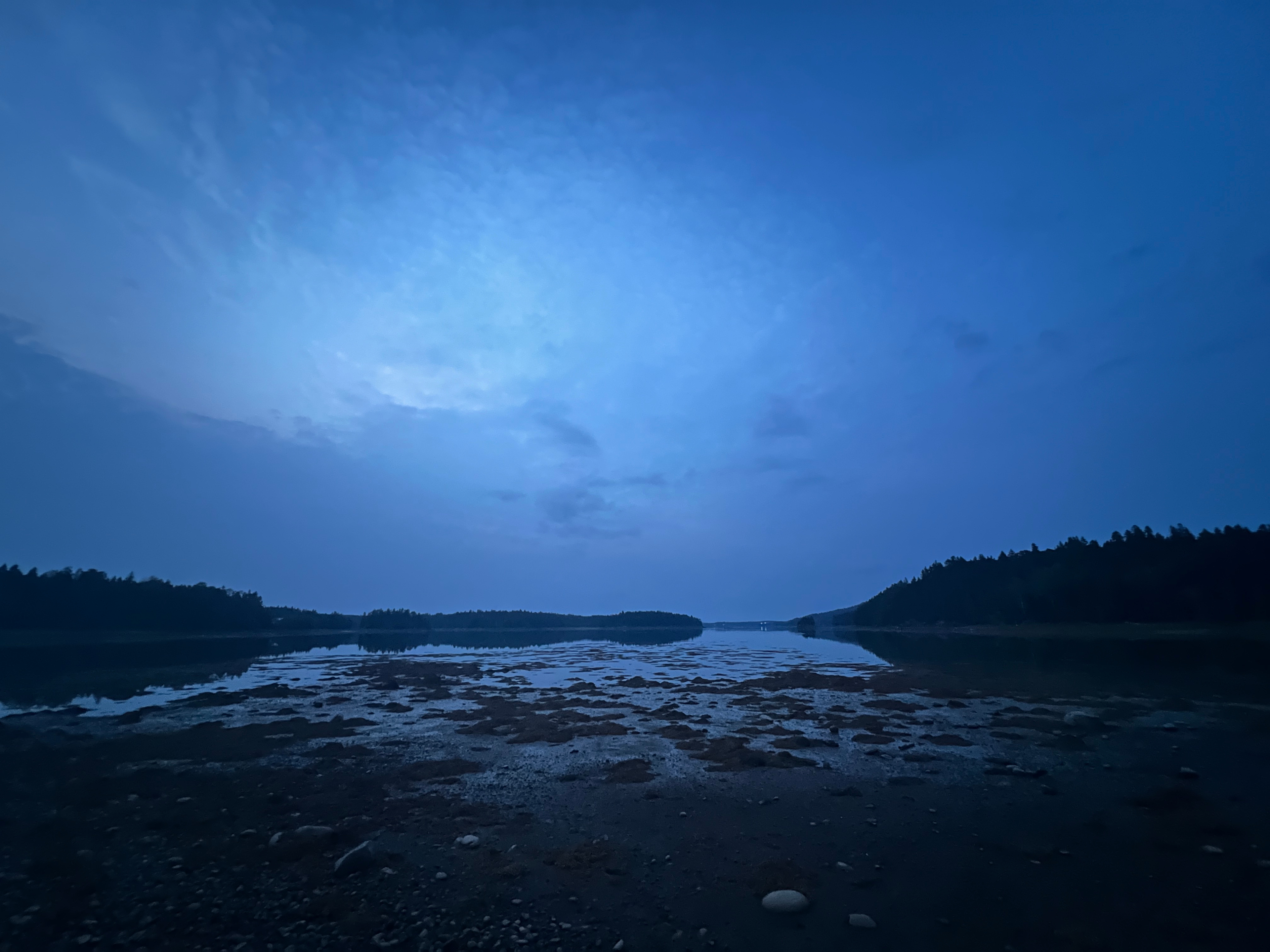 Mother Mushroom Brewery & Farmstay