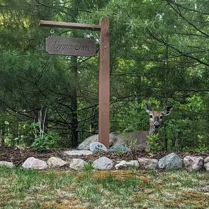 Cozy Cabin Secluded in the Woods