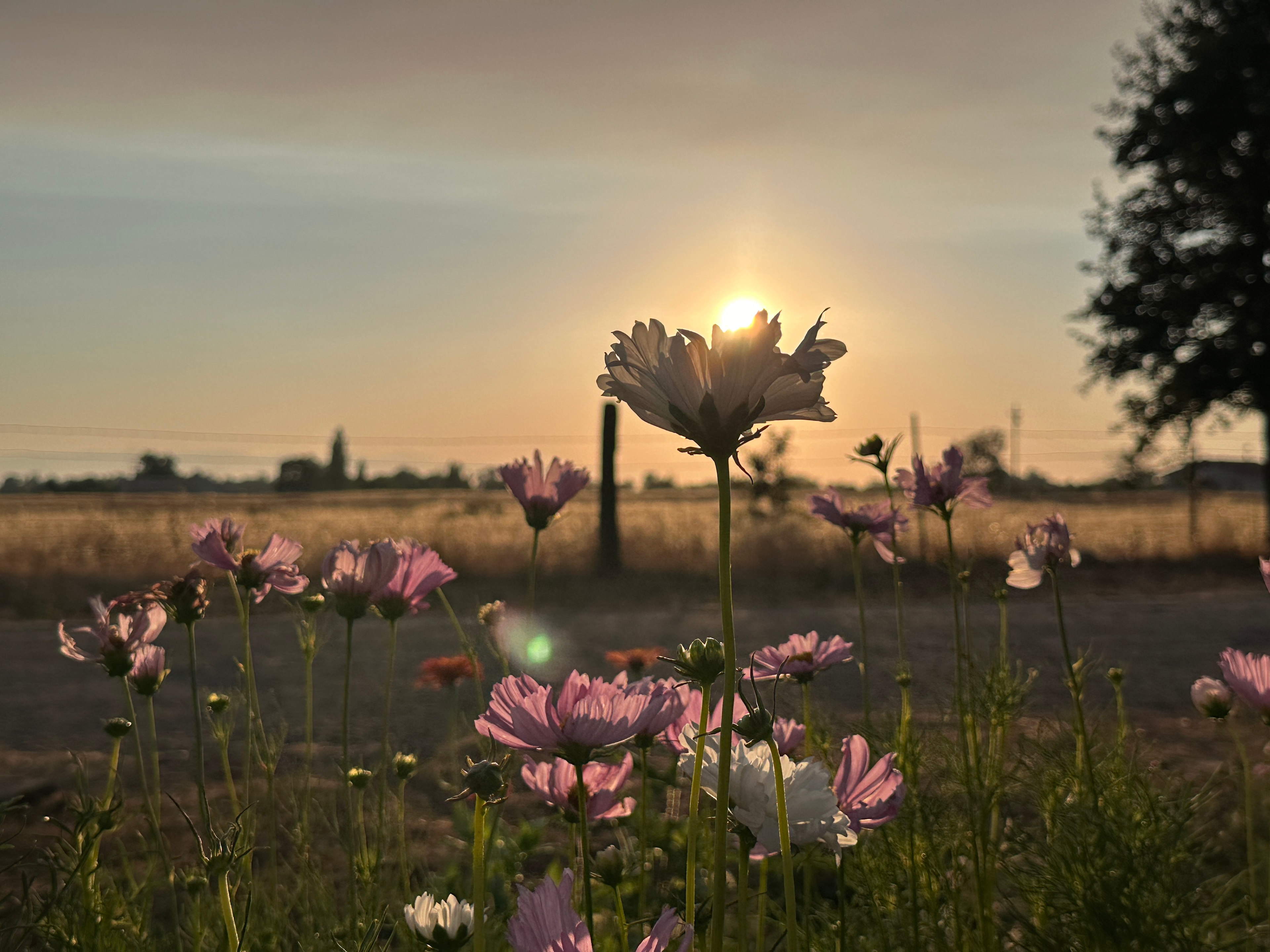 FullCircle Florals Flower Farm