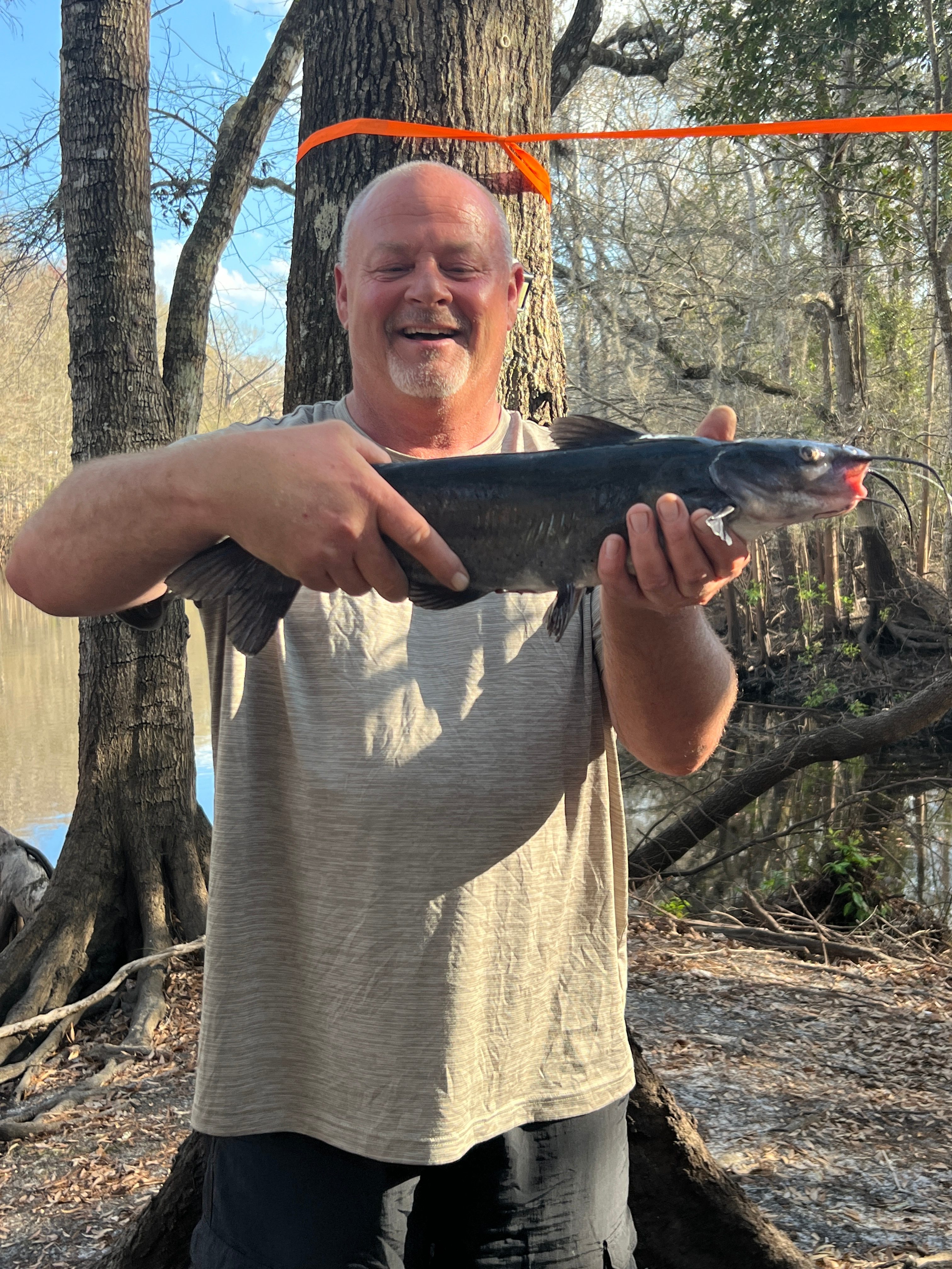 Primitive Island on Withlacoochee