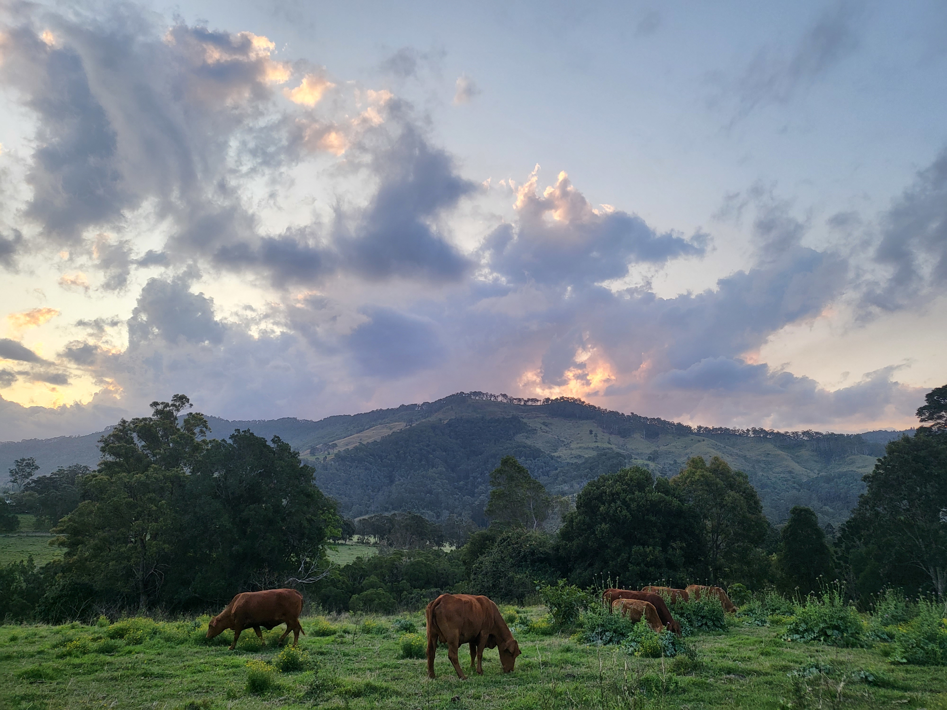 Tyungun Country Retreat