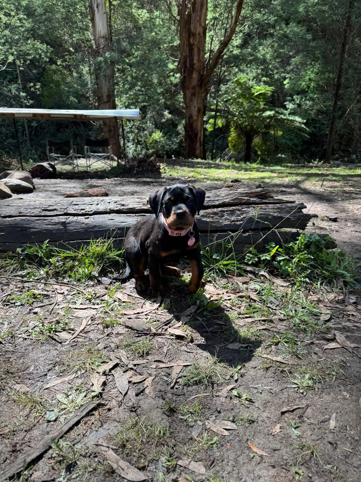 Merrimans Creek Seclusion