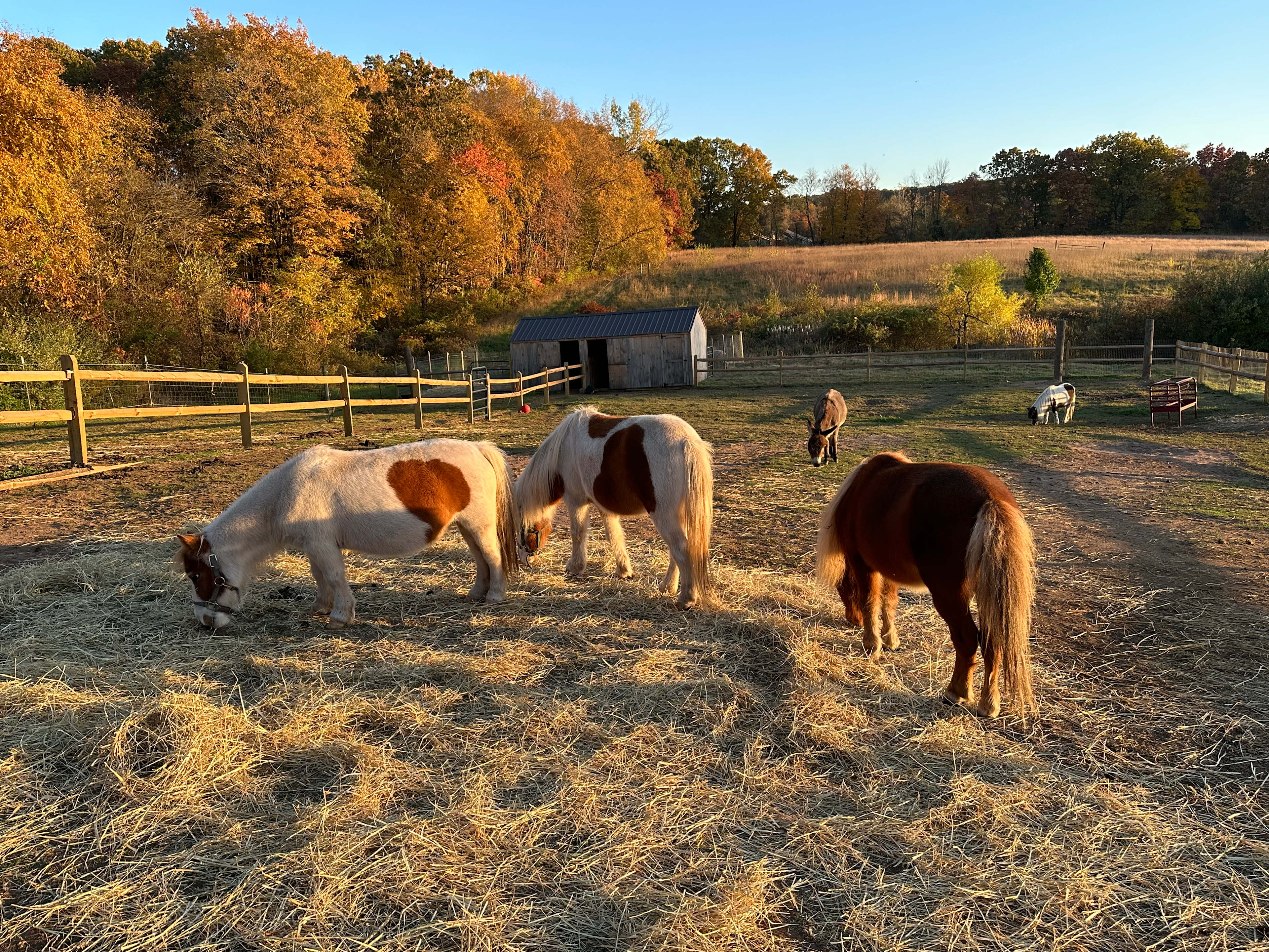 Two Herons Farm