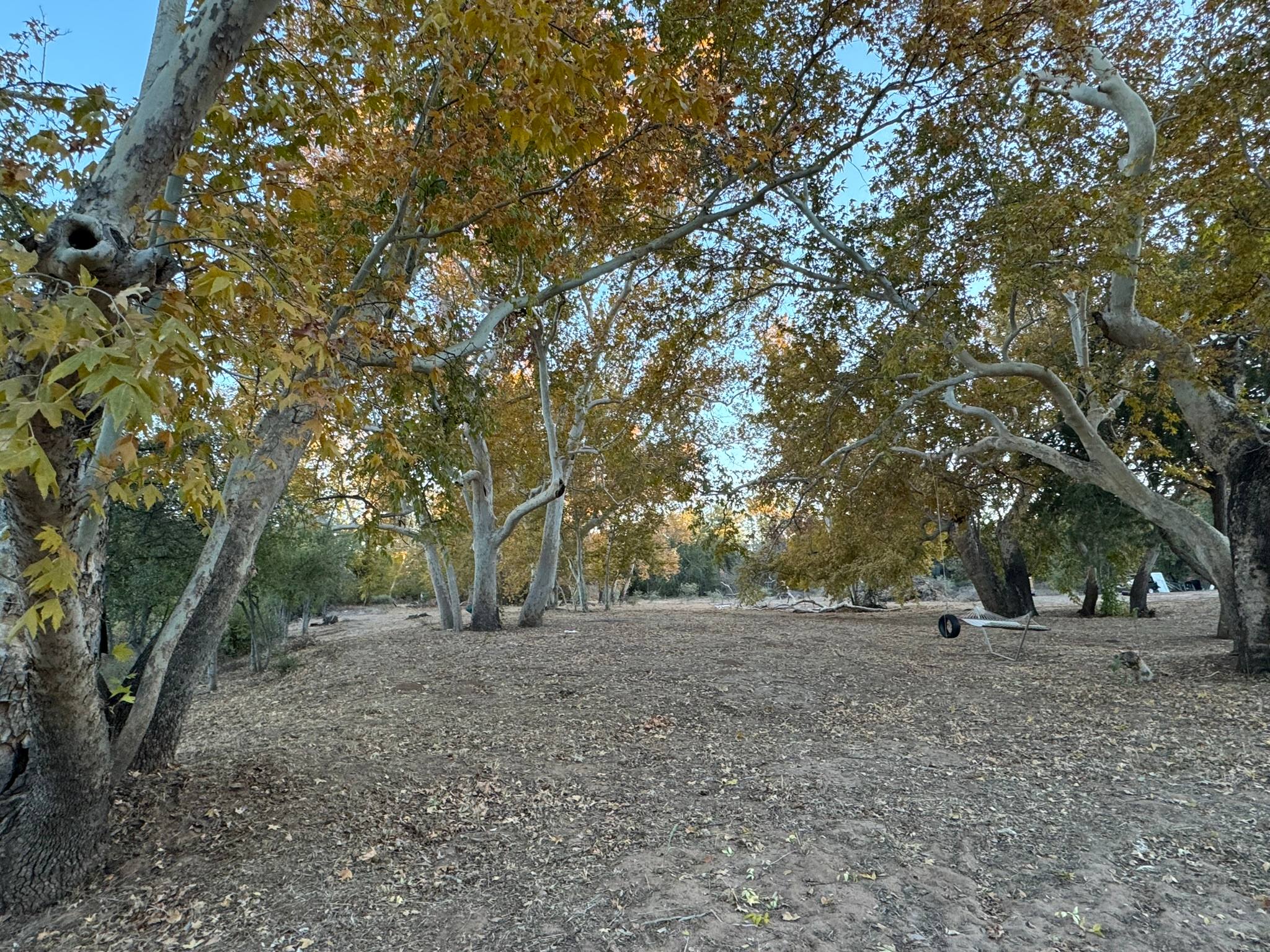 Creekside Retreat on 3 Acres!