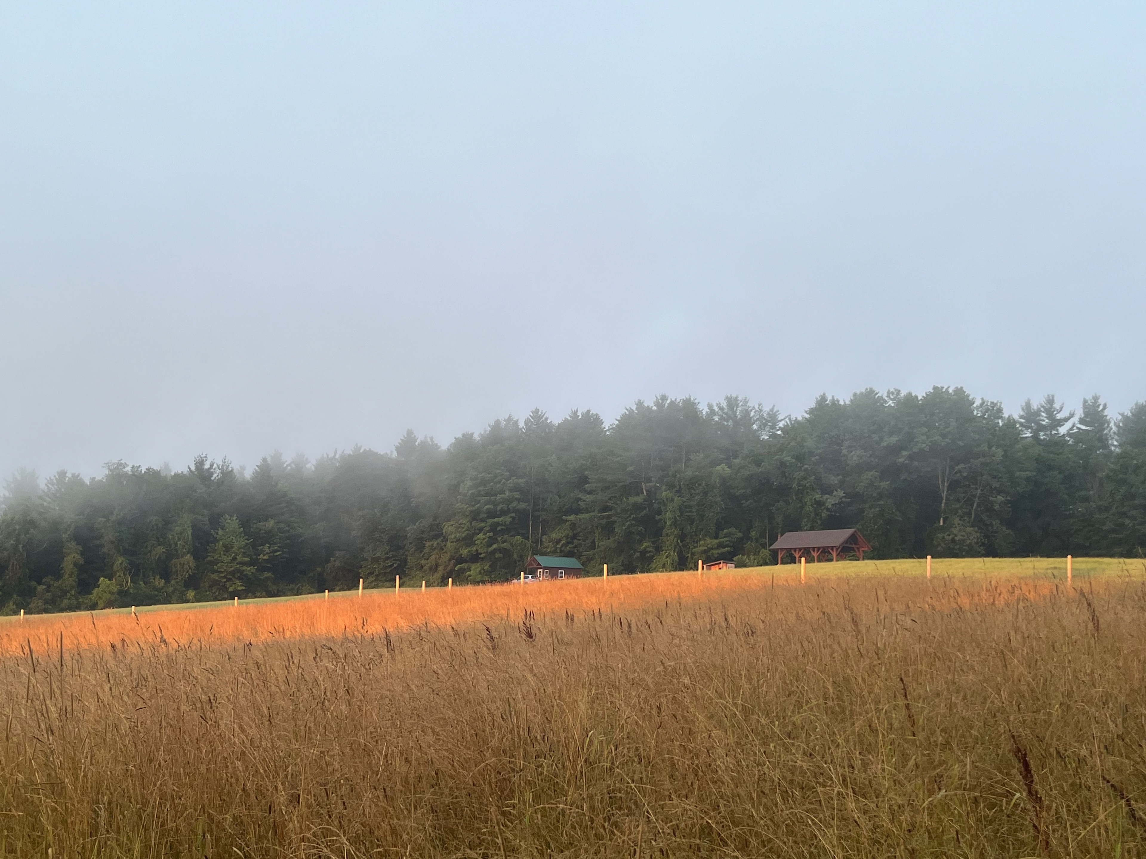 Dancing Bear Farm