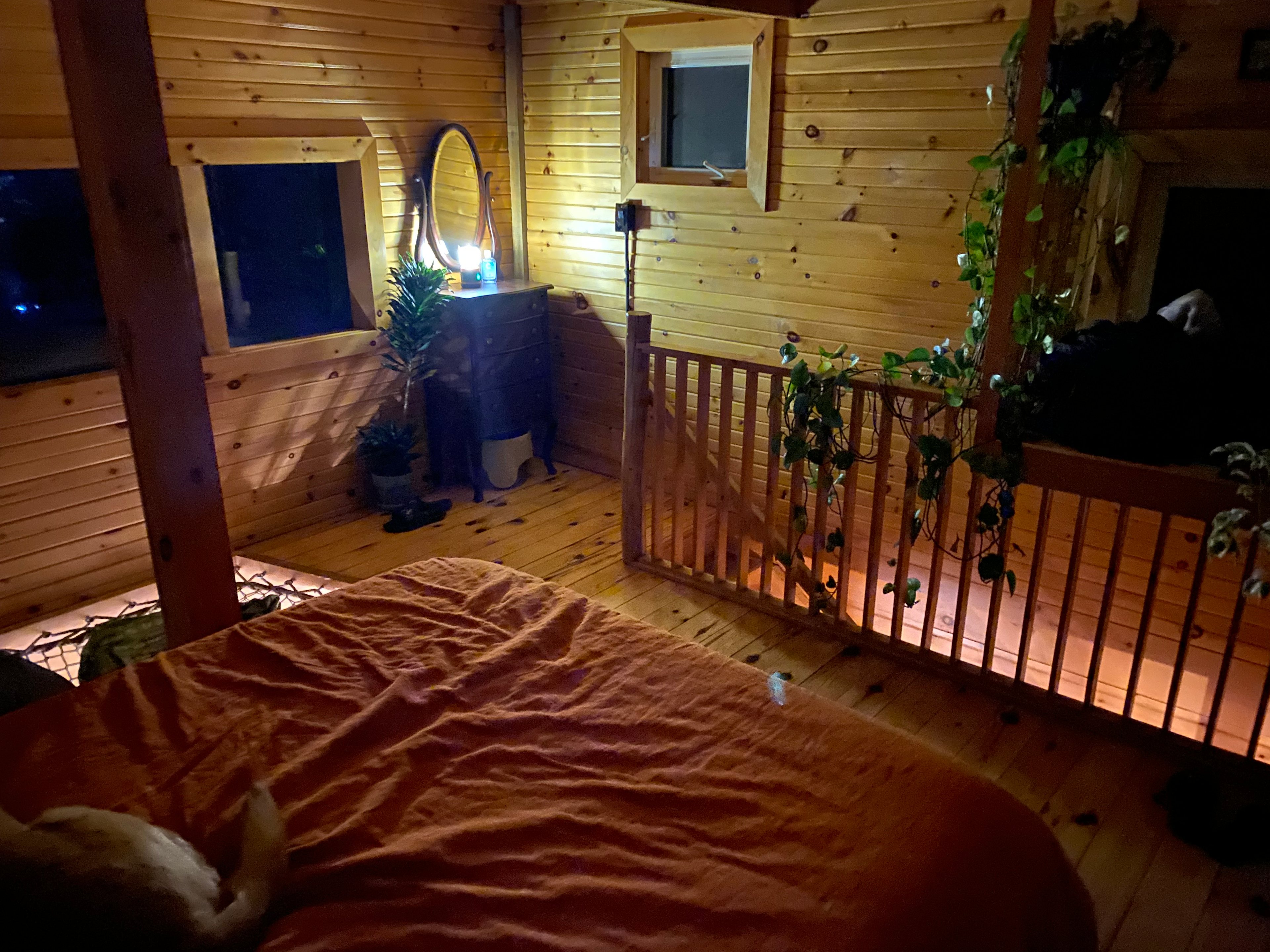 The Mushroom Cabin