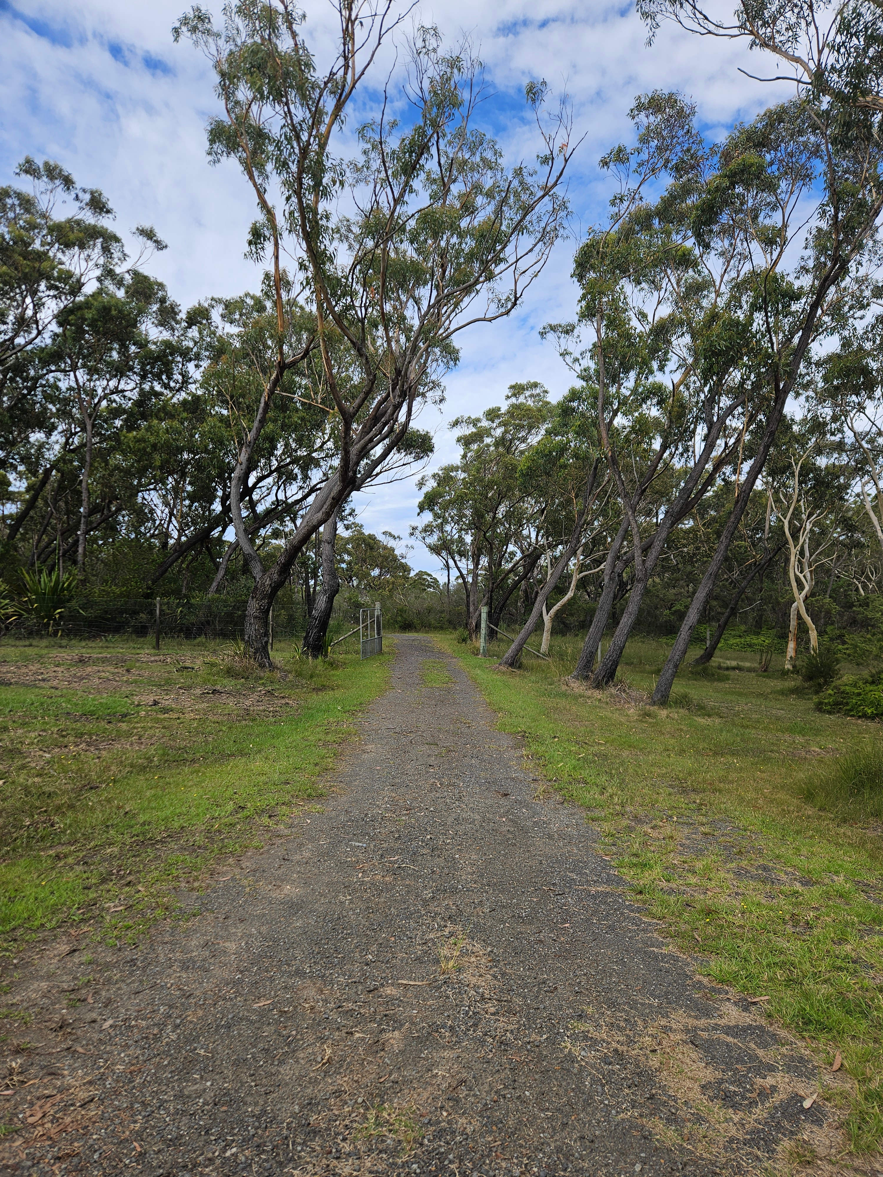 Cobbers Rest