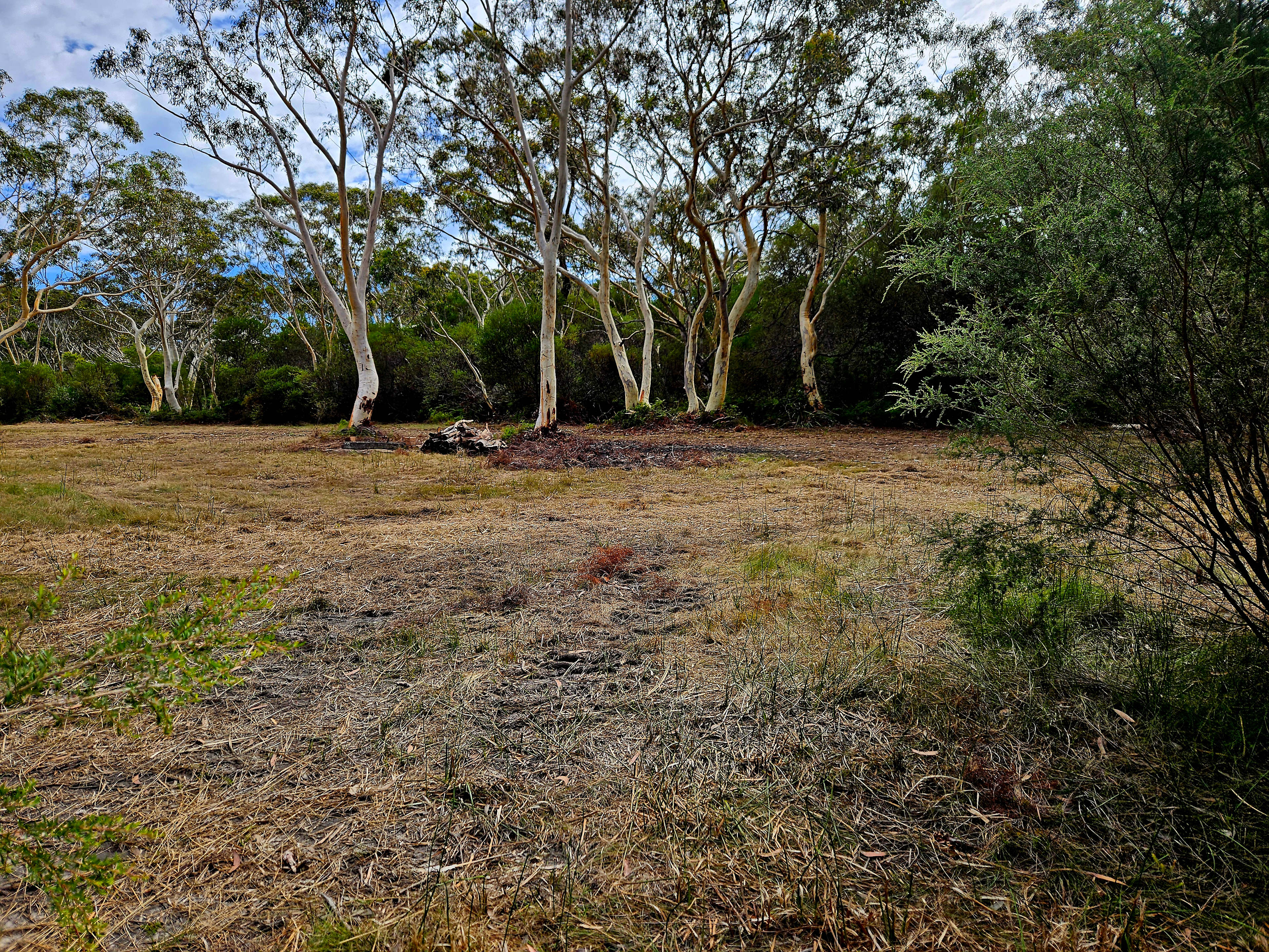 Camping area with fire pit and some wood.