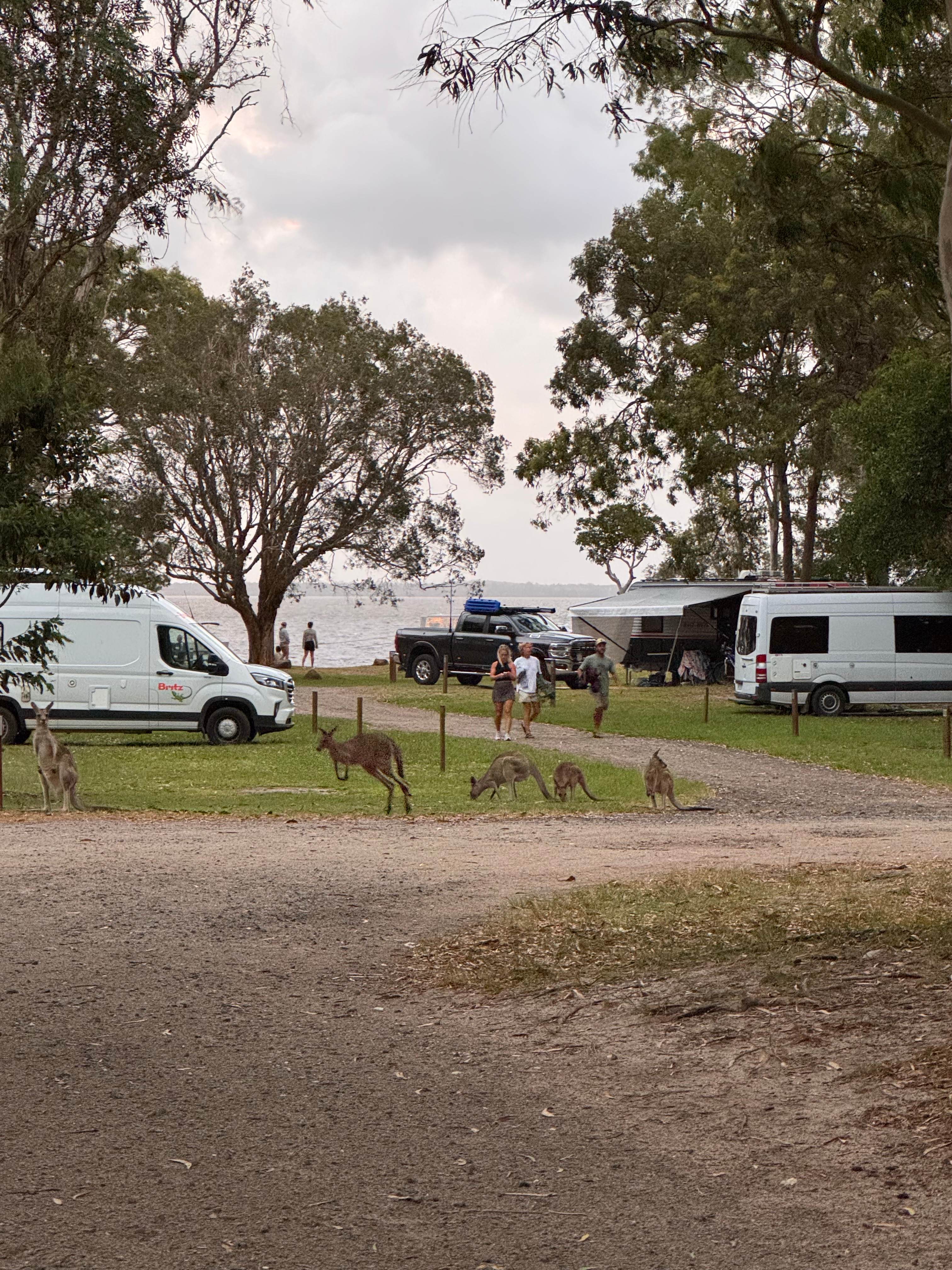 Habitat Noosa Everglades EcoCamp
