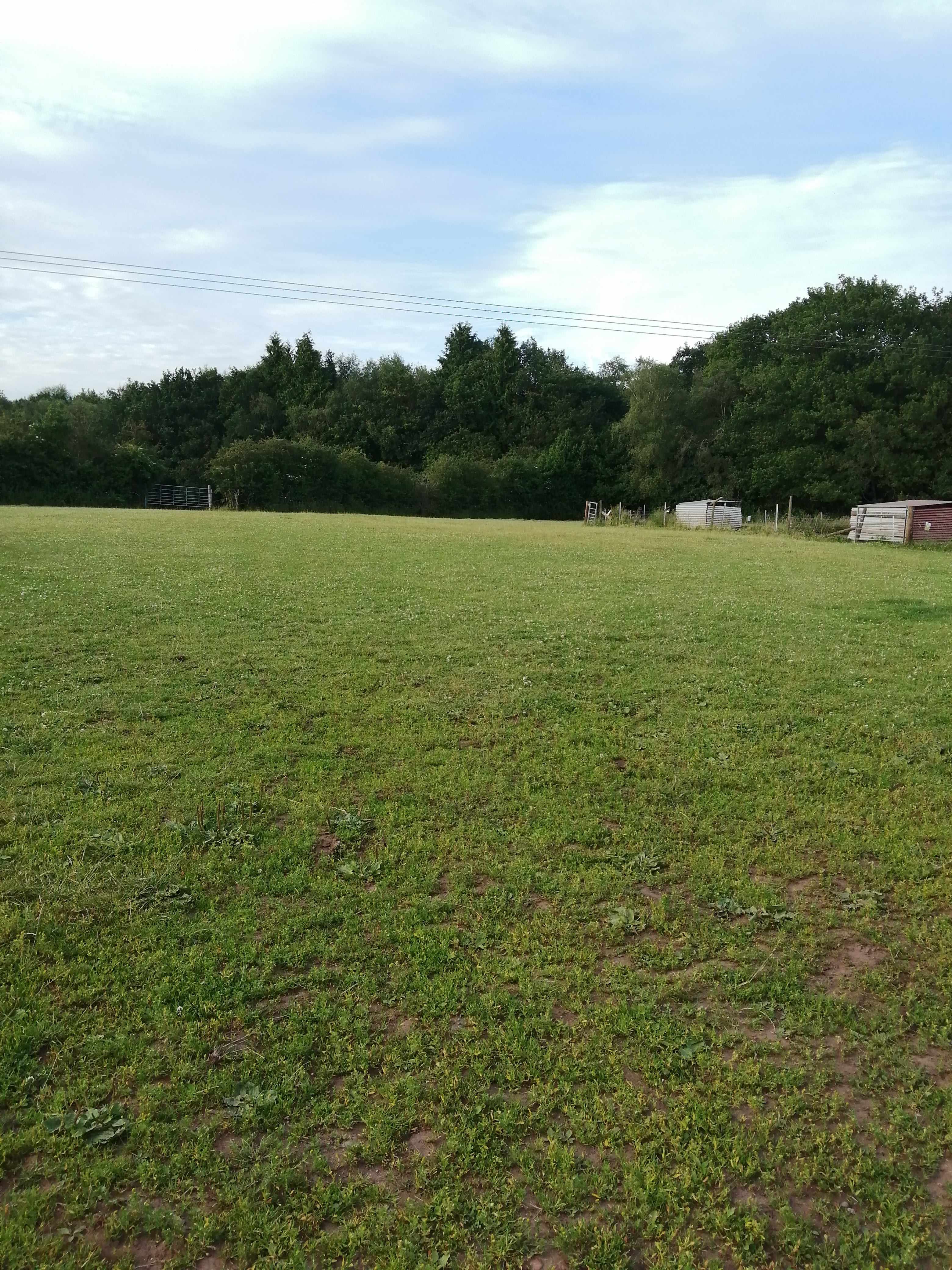 Park Hill Farm