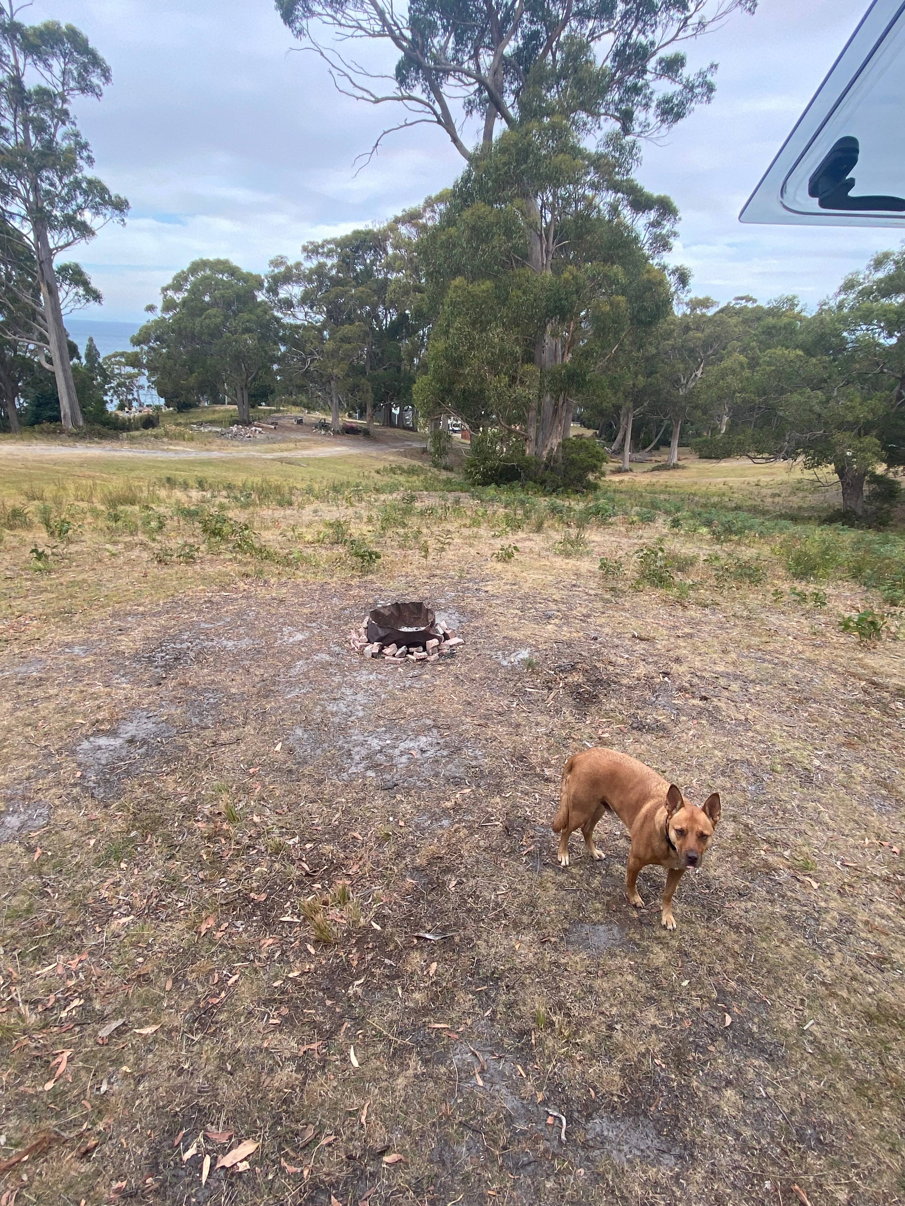 Ladychapel Camp Grounds