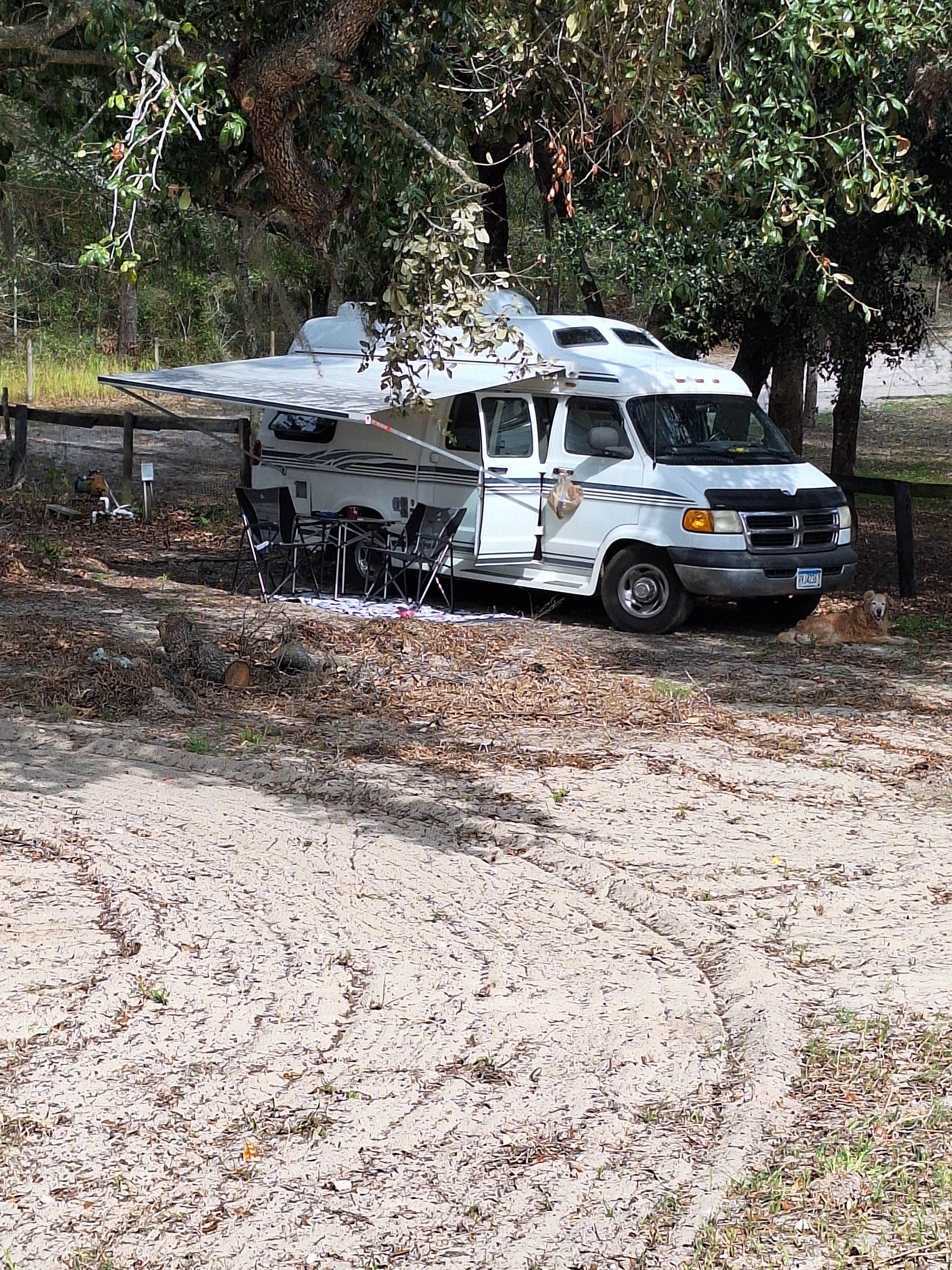 Big Oak Farm 🌳🐴🐕