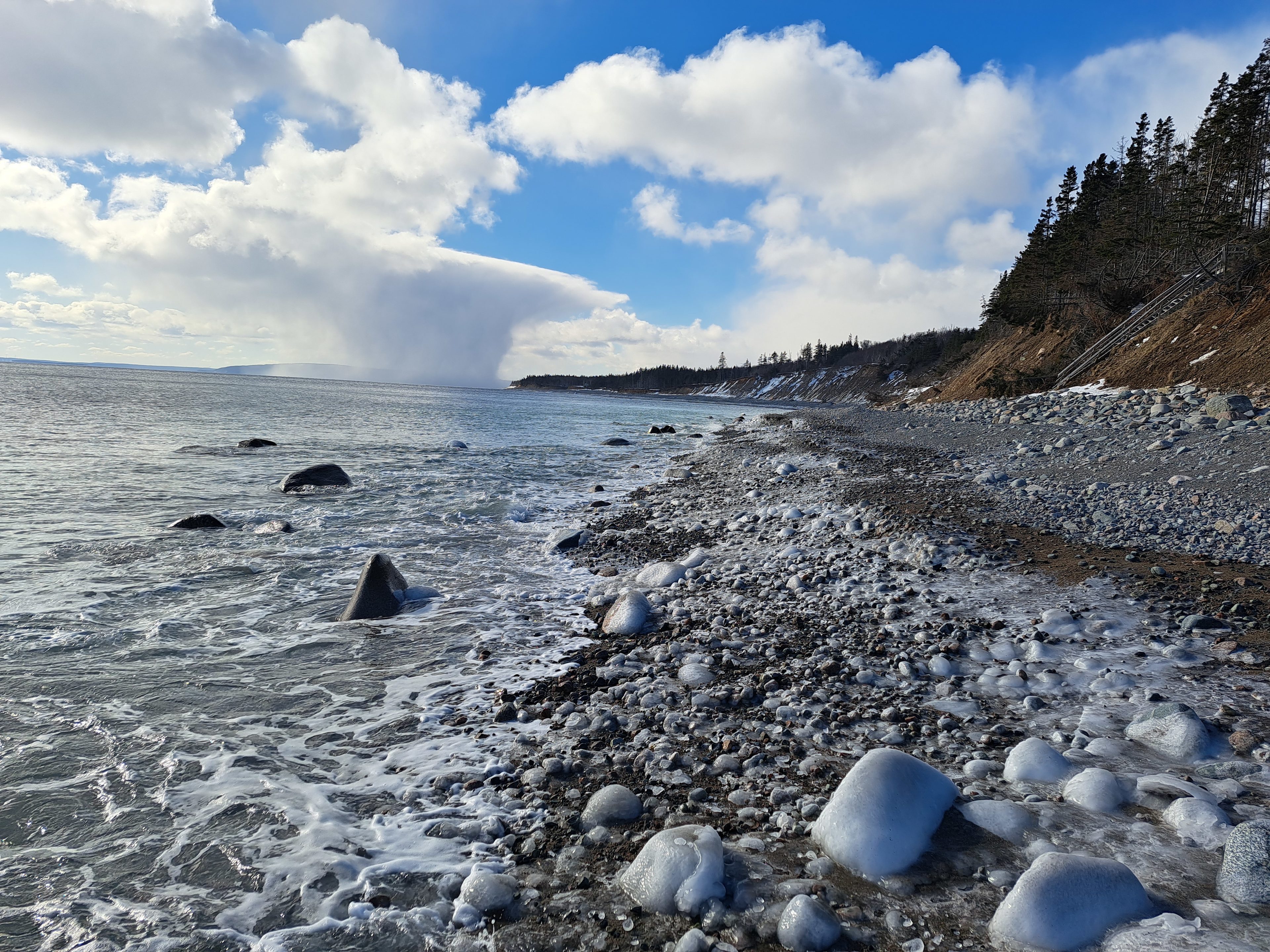 The Dancing Moose Vacation rentals