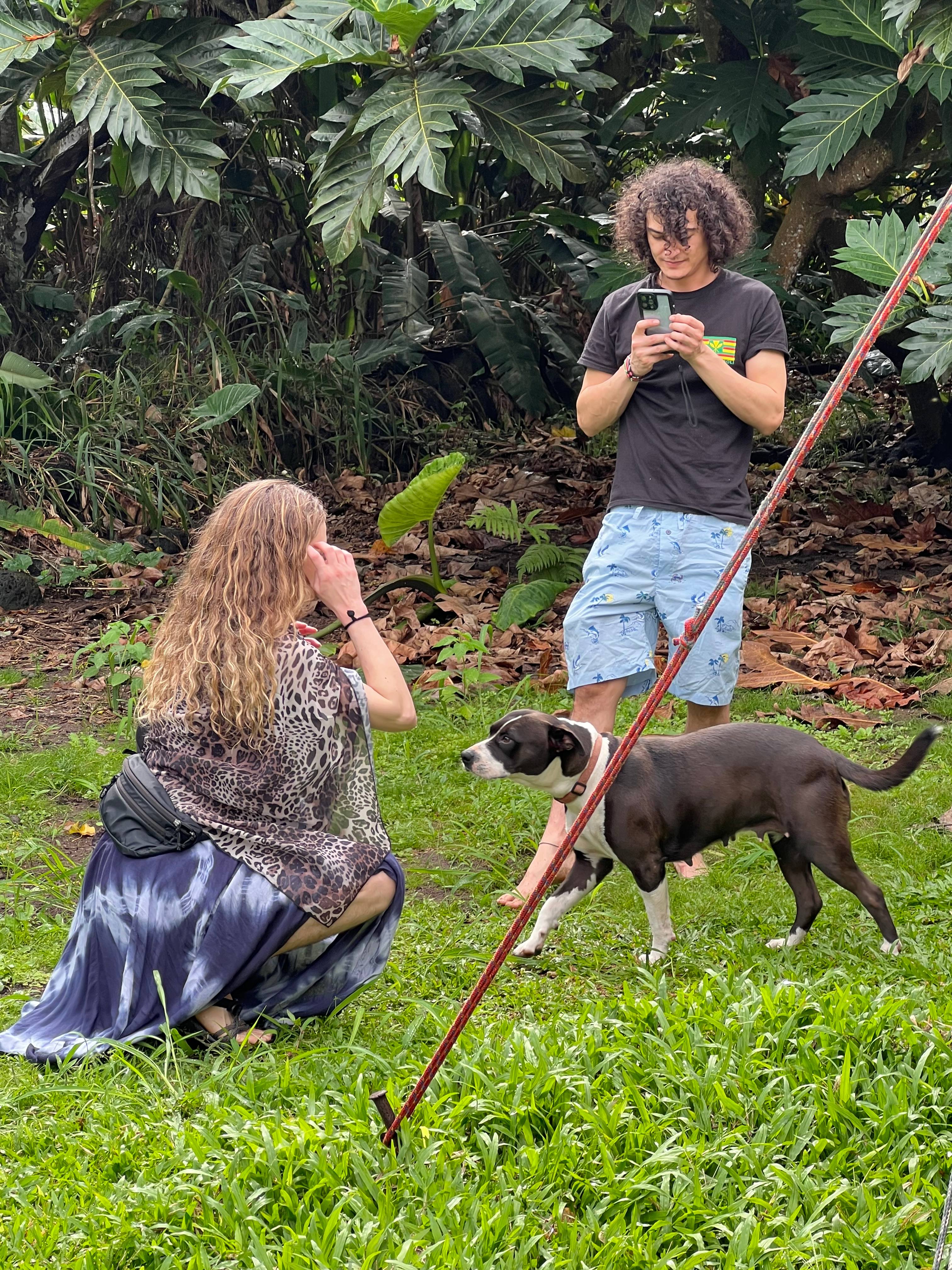 Friendly pooch visit