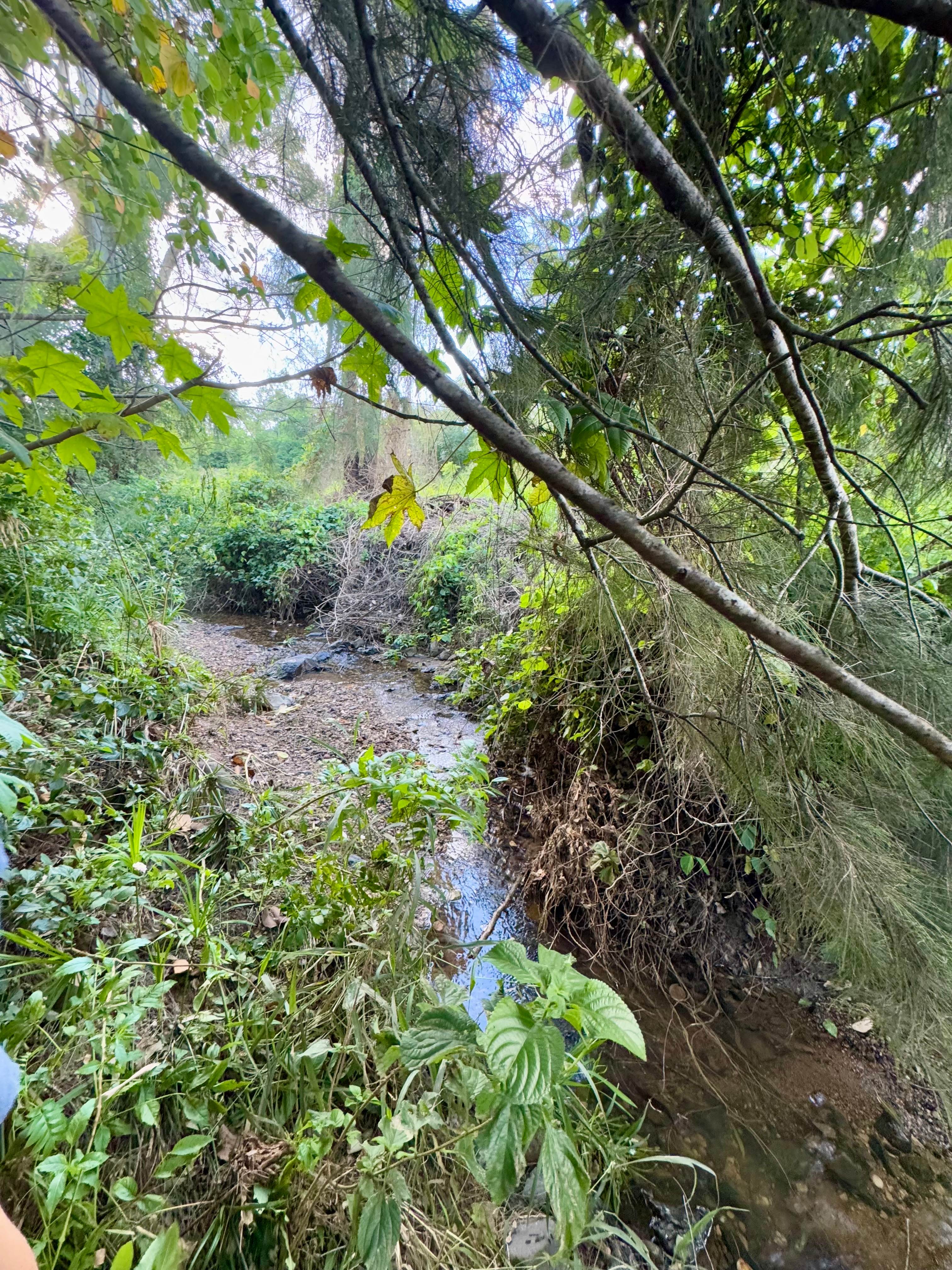 Little Oakey Acres Escape