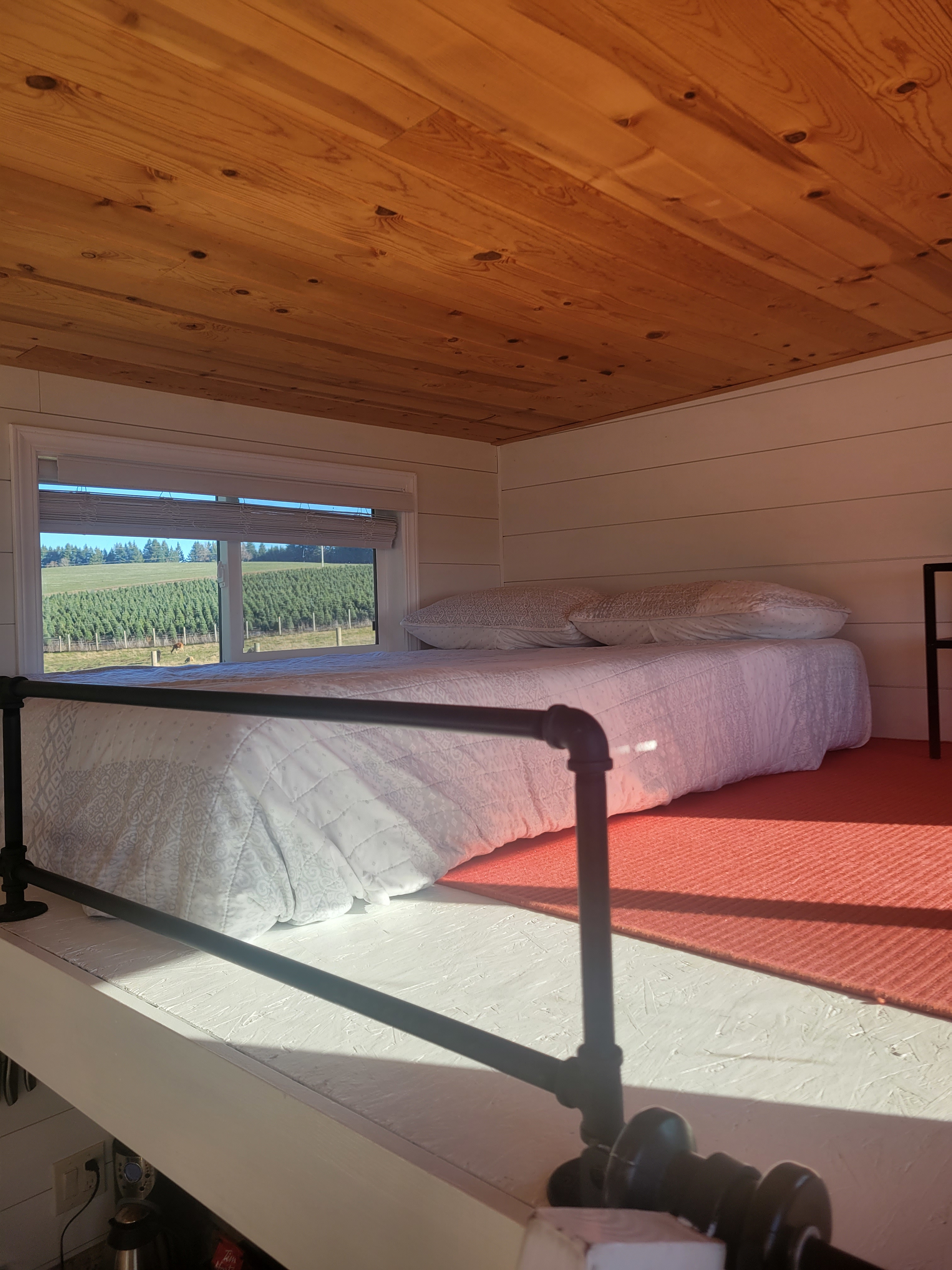 Buena Vista Lavender Farm