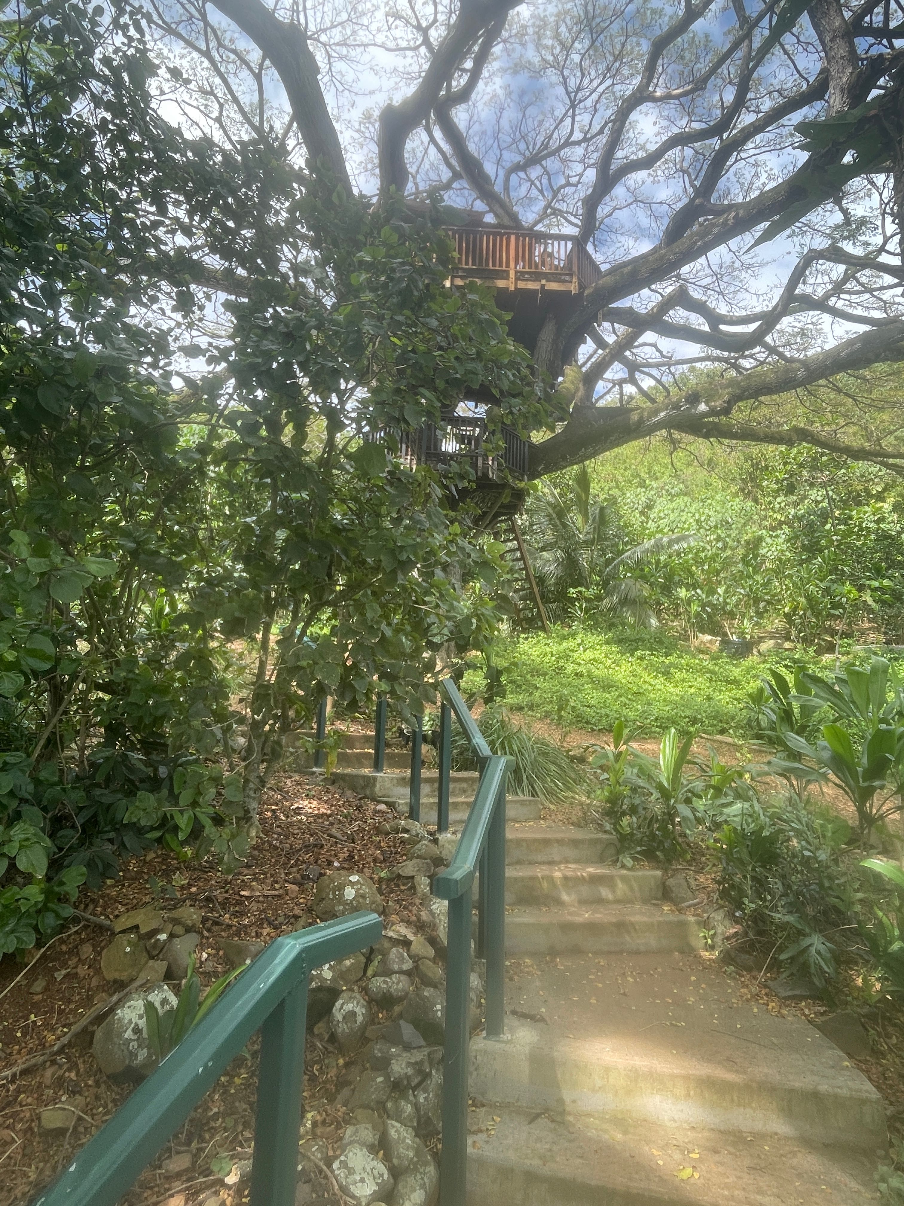 Gorgeous treehouse & Views, Farm