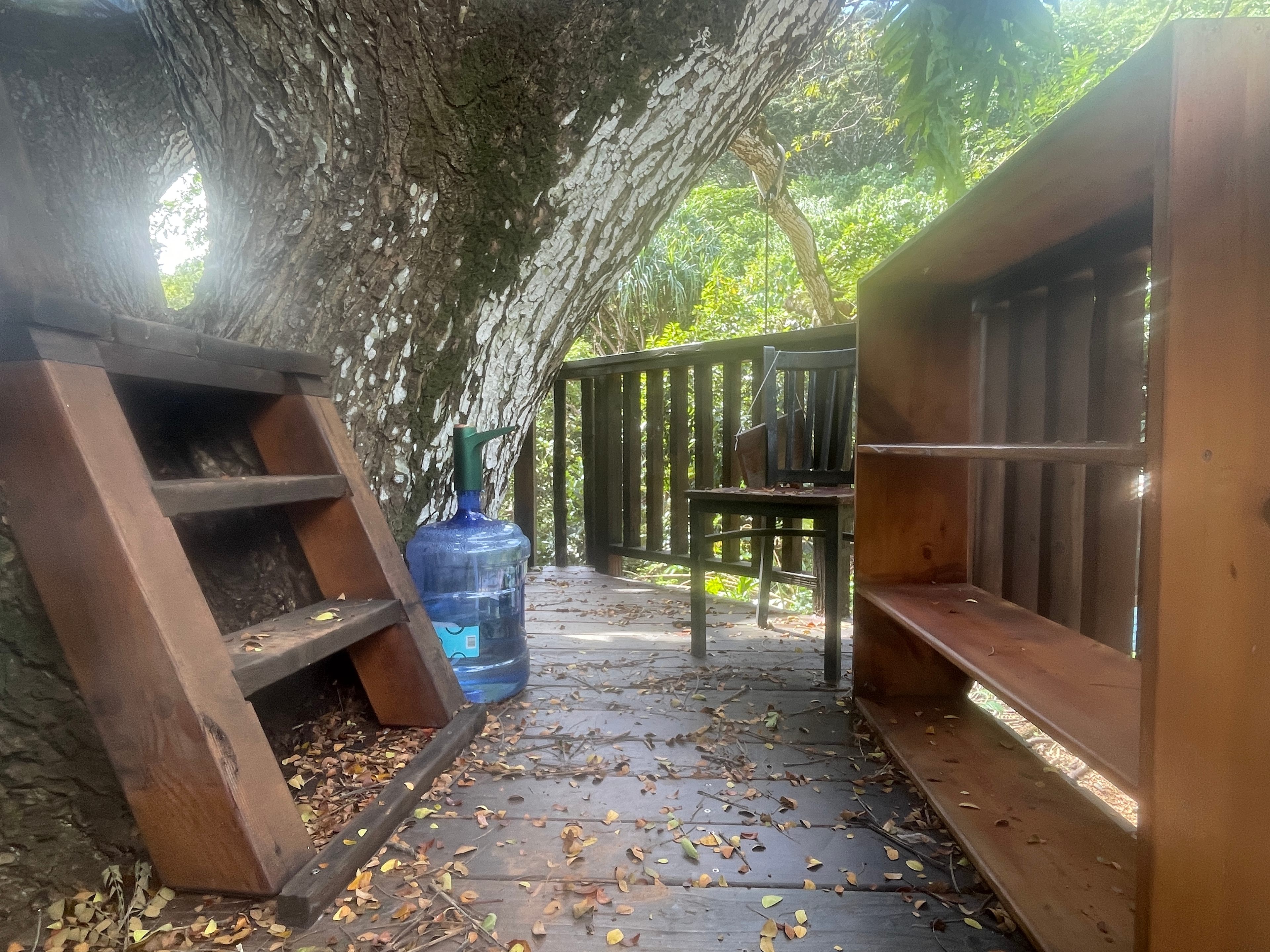 Gorgeous treehouse & Views, Farm