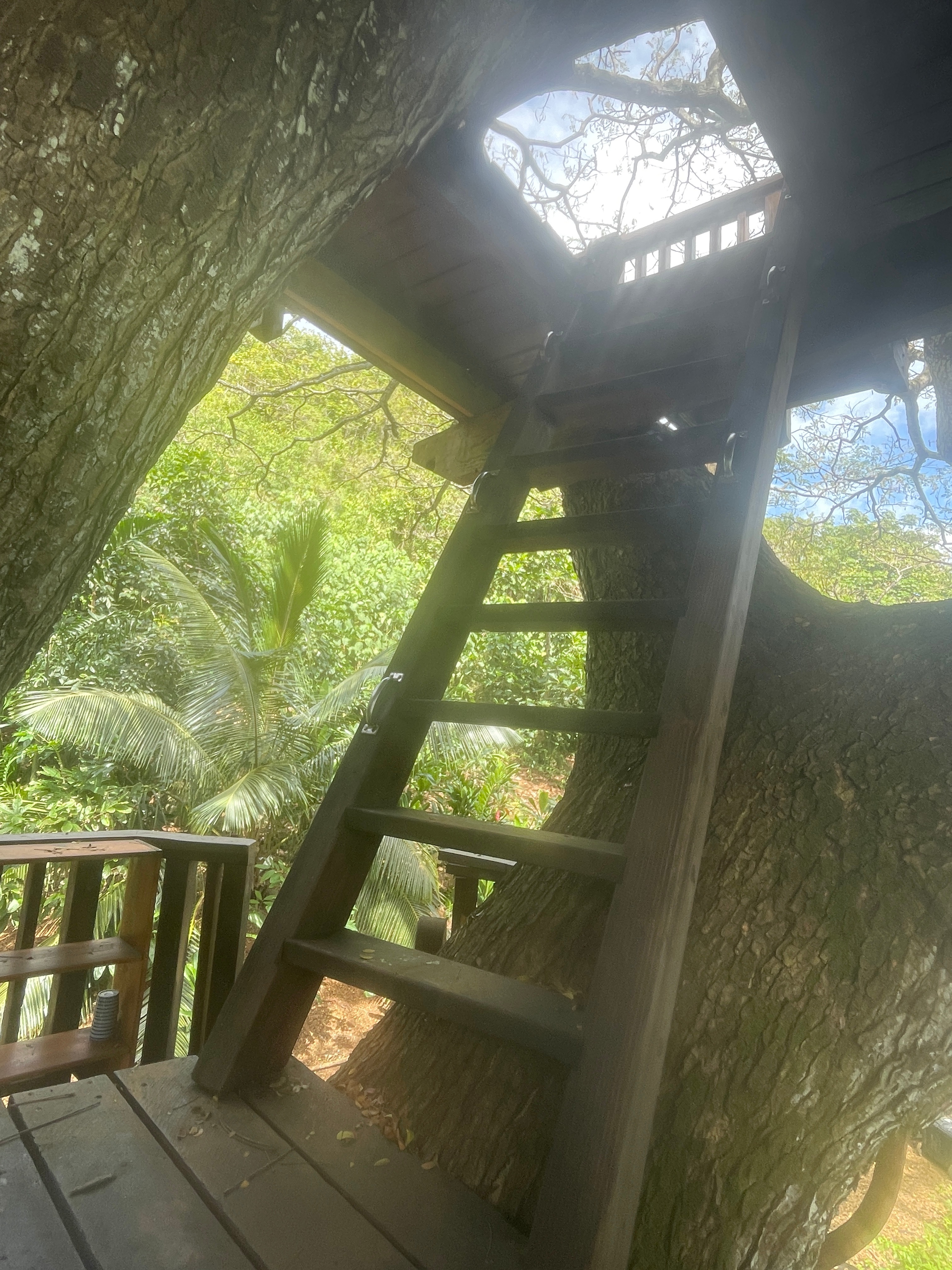 Gorgeous treehouse & Views, Farm