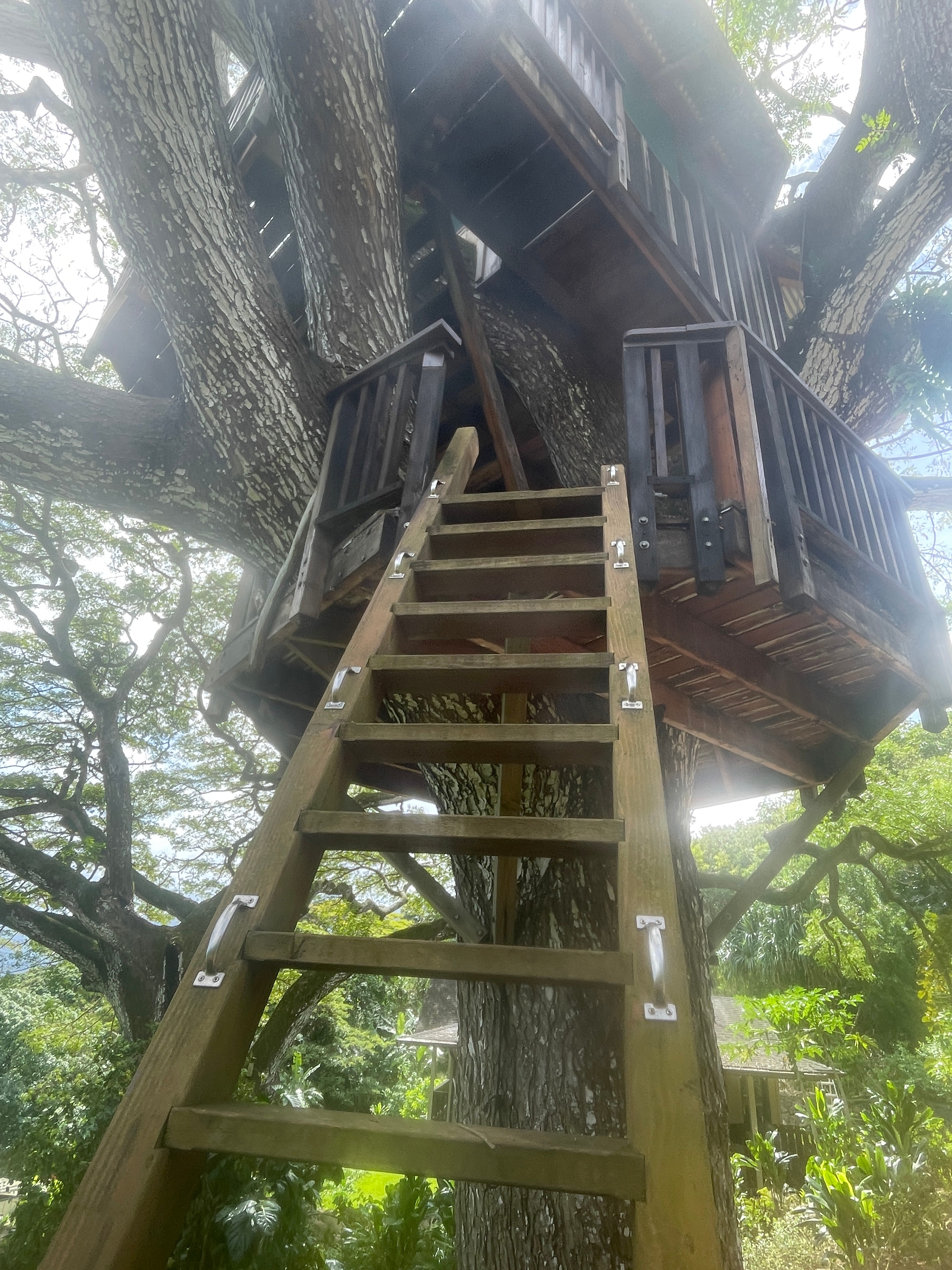 Gorgeous Views-Farm-Jungle,-Glamp!