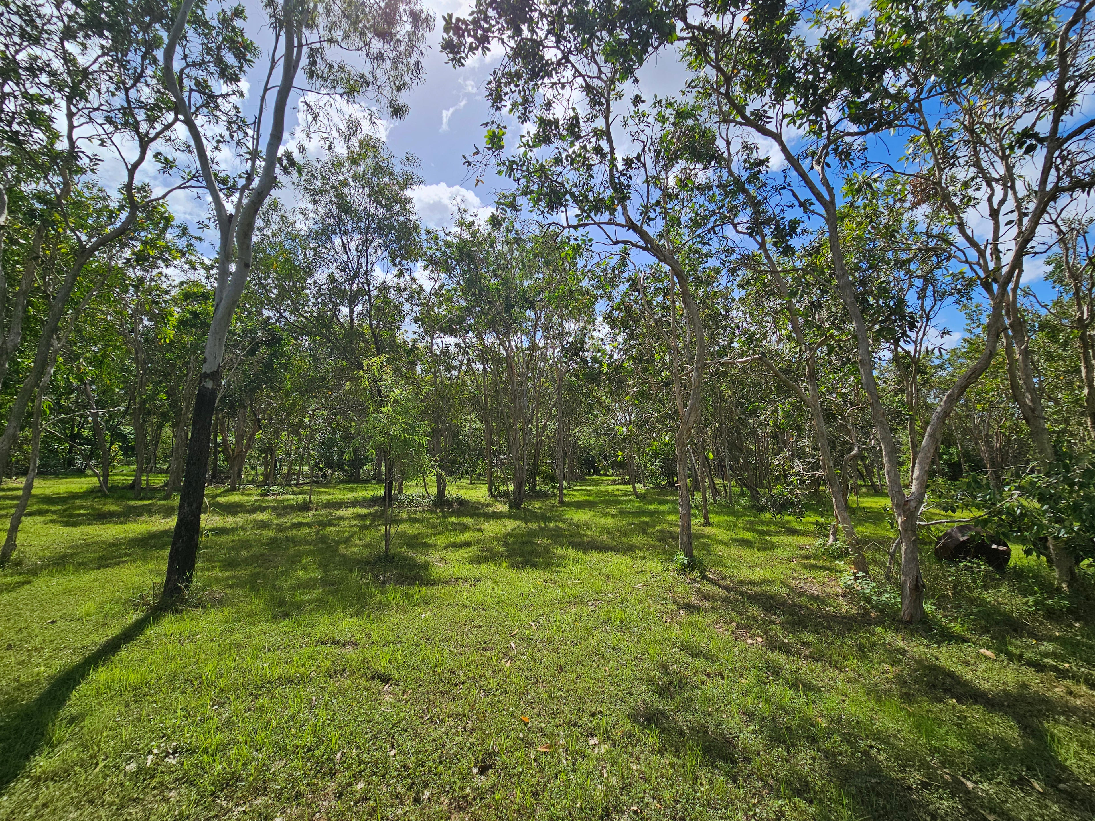 Bring your caravan, kamper, tent or RV to choose your site to enjoy. 
