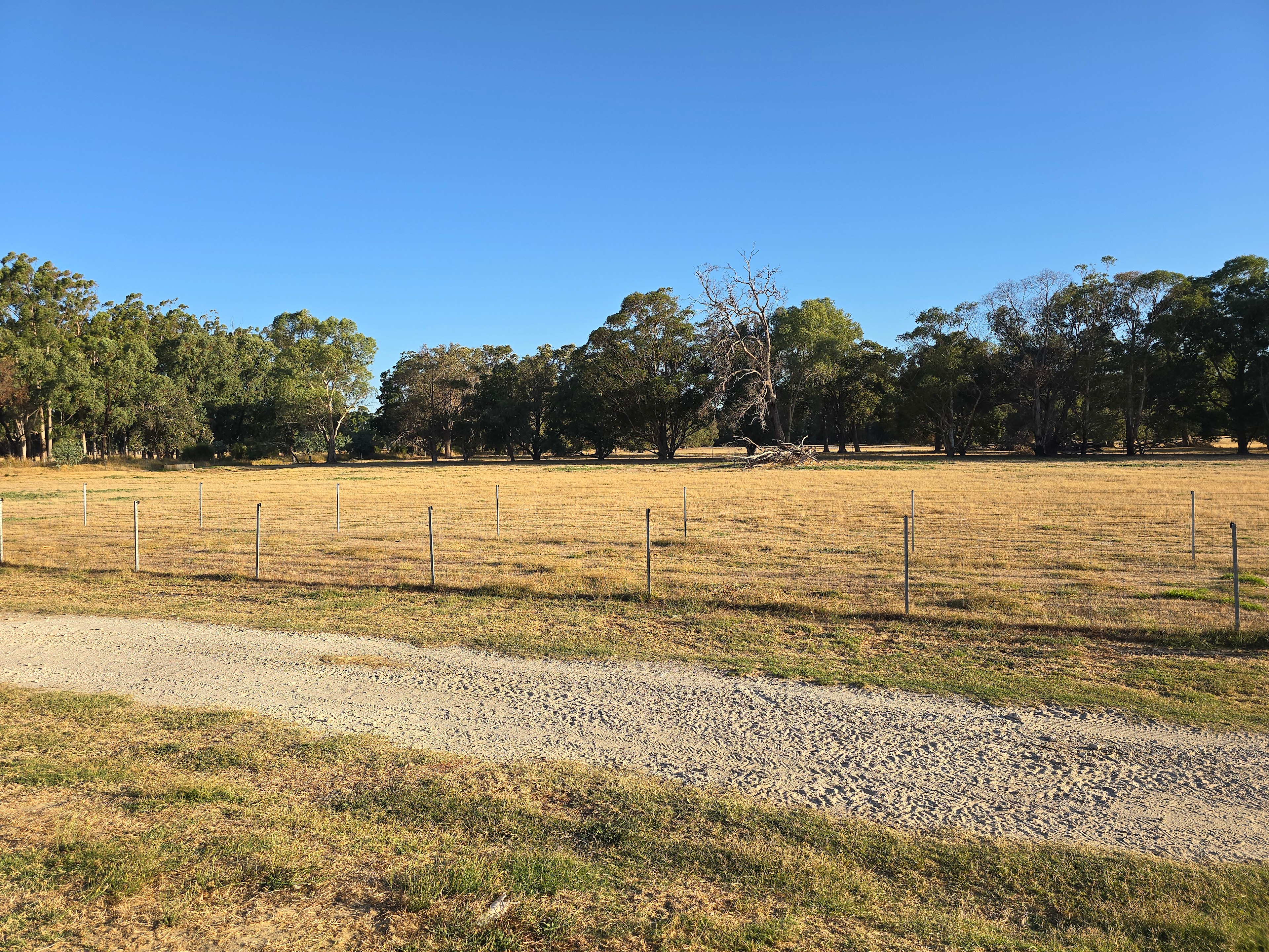 Red Gum Flatts