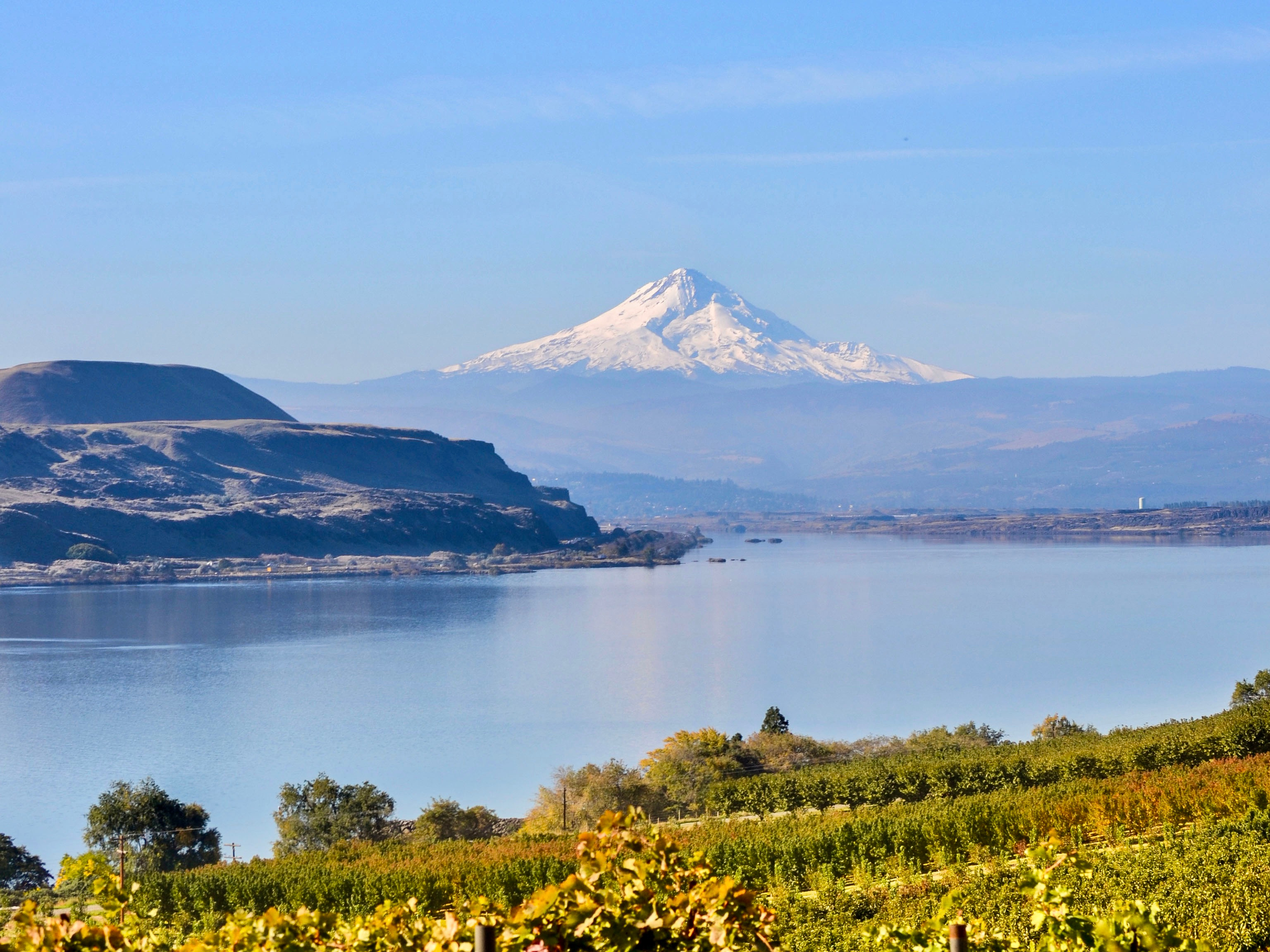 Jacob Williams Winery
