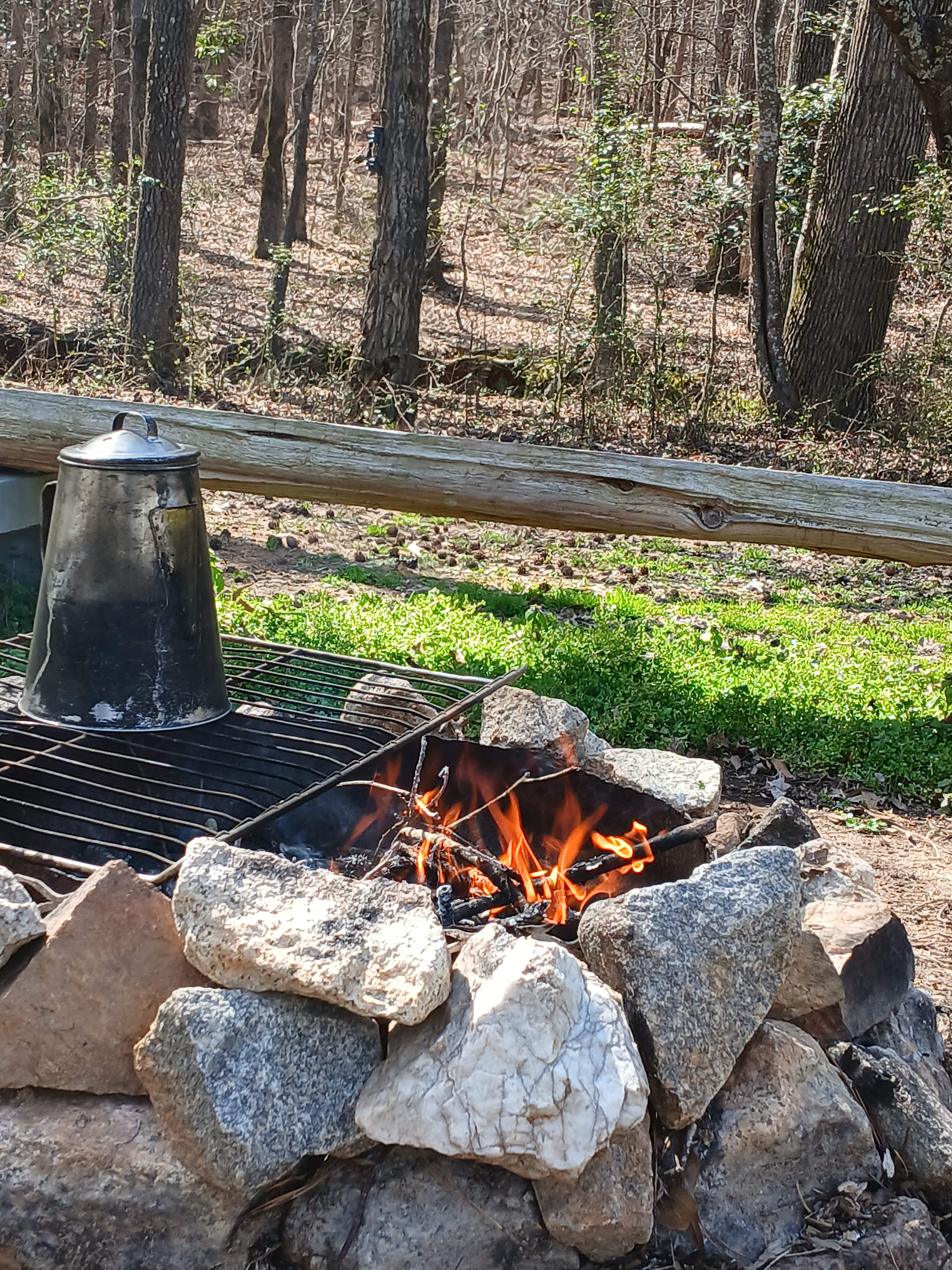 Plenty of seasoned firewood!  