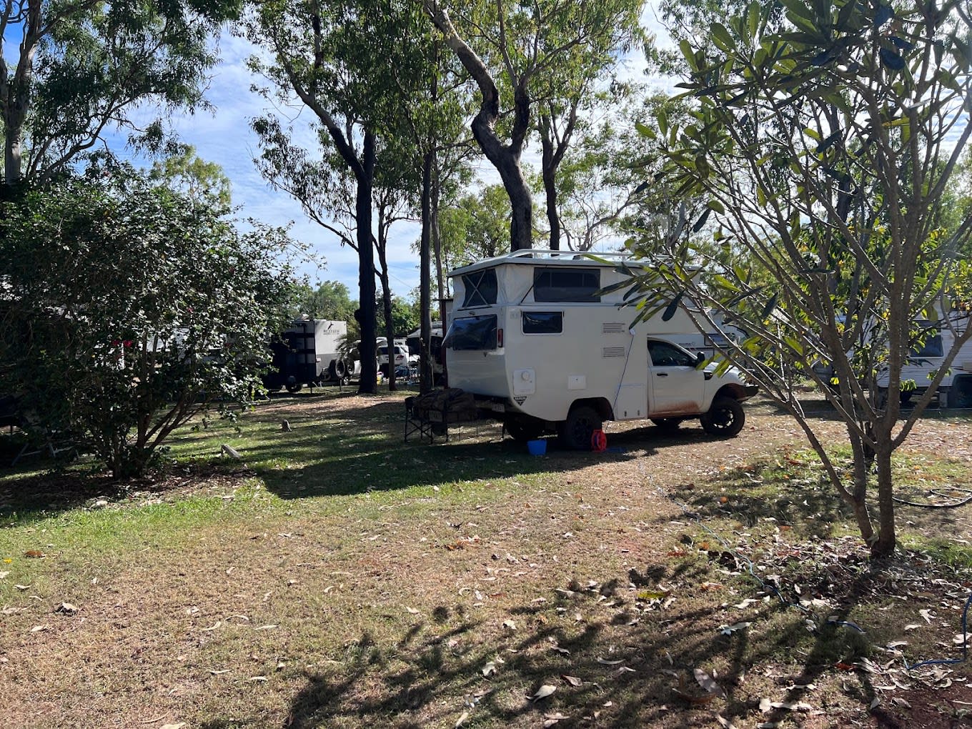 Pandanus on Litchfield