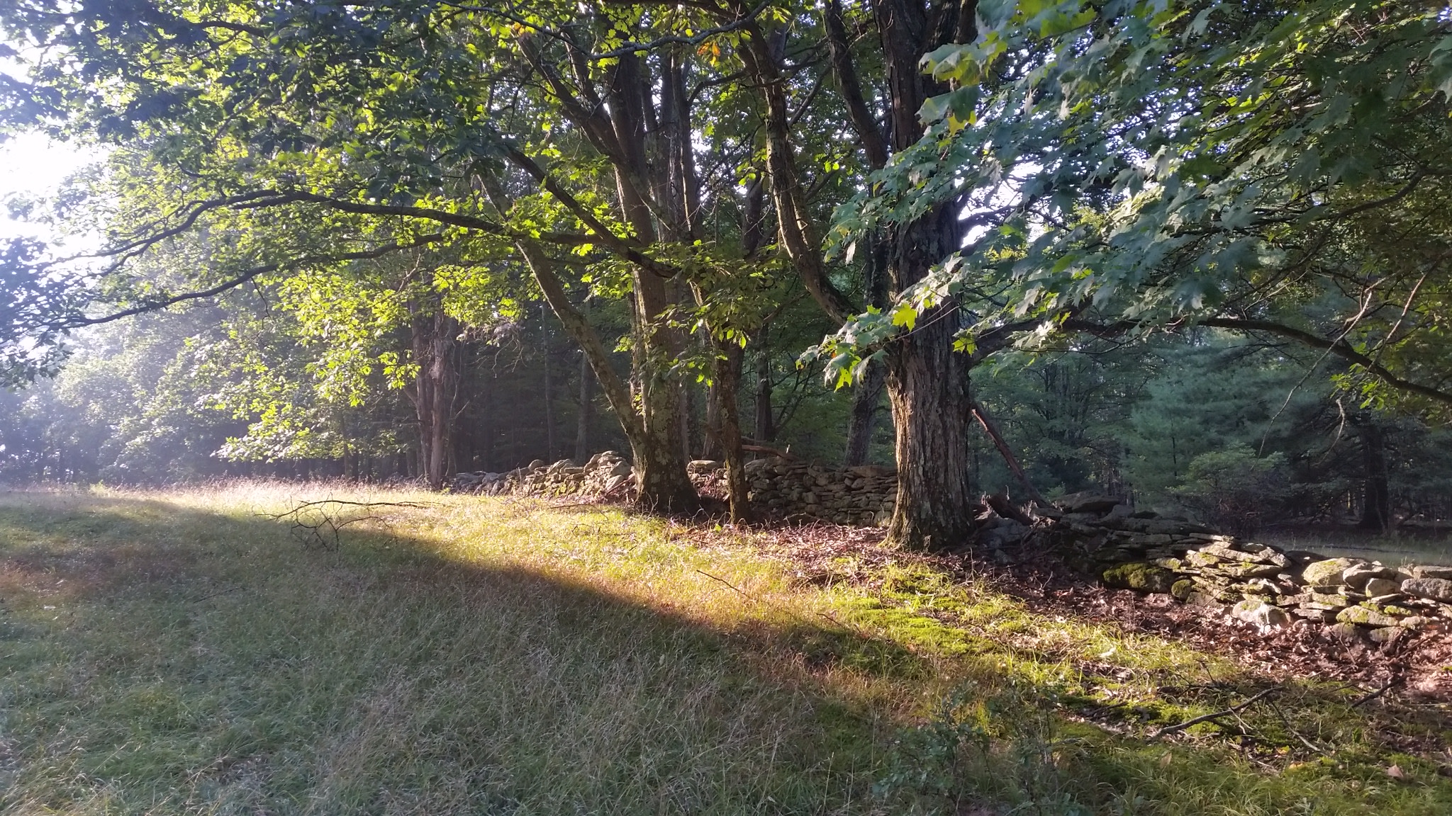 Quiet, Private Retreat - South Hill