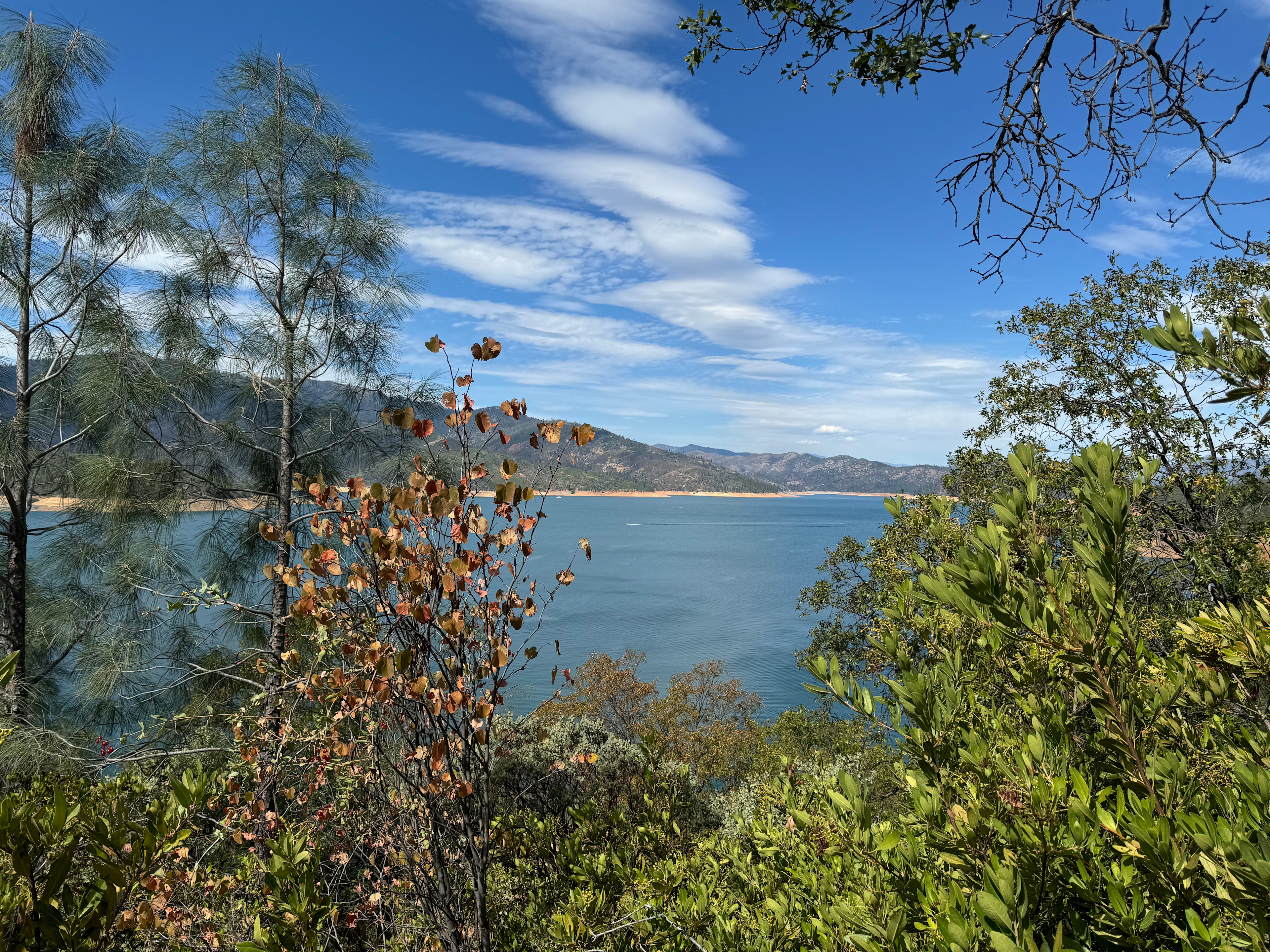 Shasta Lake is 10 minutes by car. Fun for the whole family or just a romantic visit for a couple.
