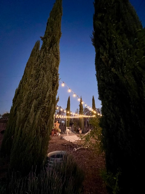 Dos Fernandos' Hideaway RV vineyard