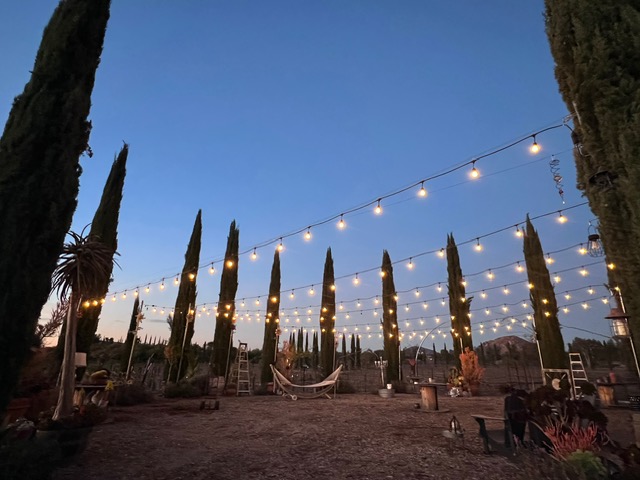 Dos Fernandos' Hideaway RV vineyard