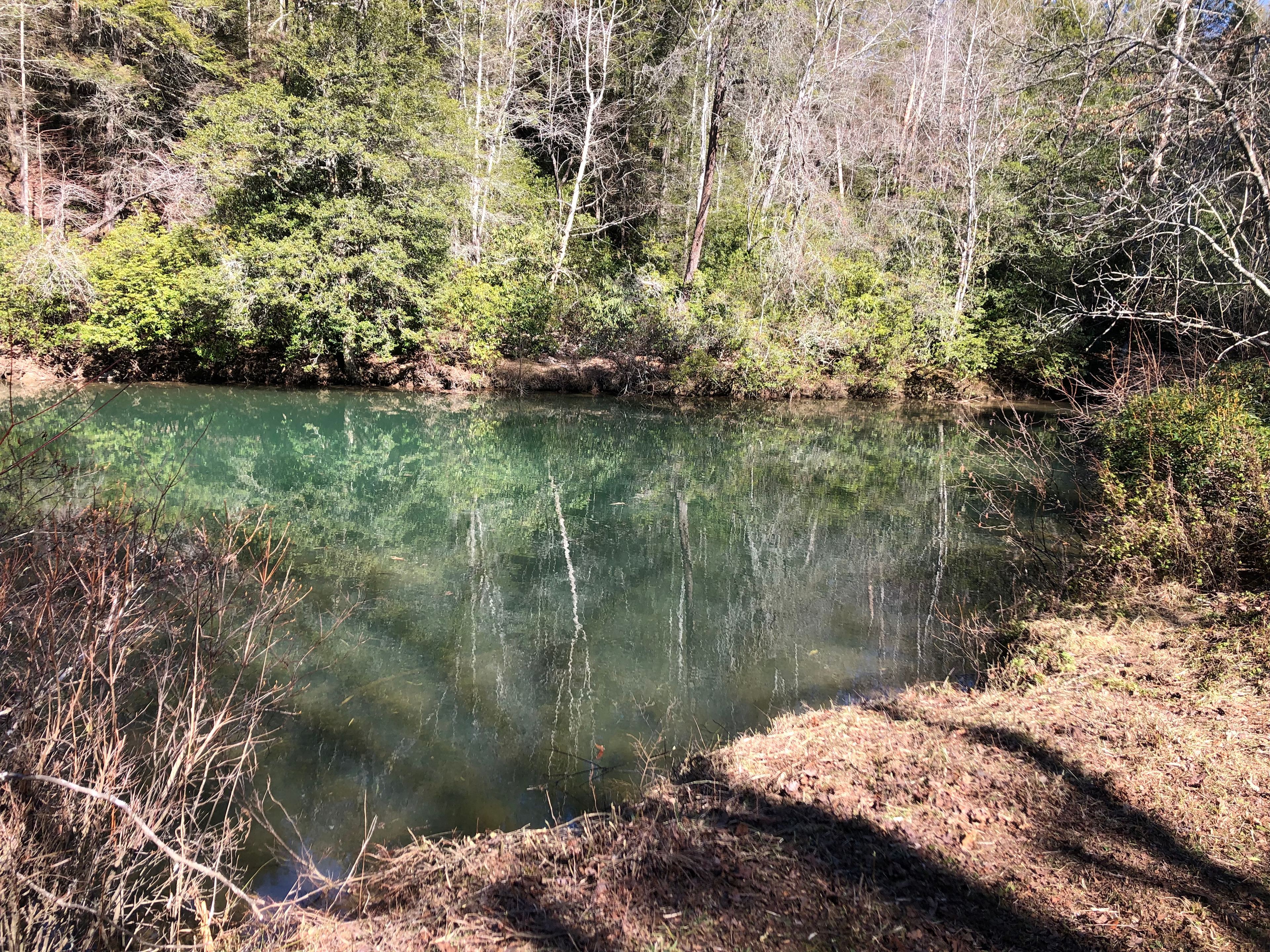 Base Camp Fishing Hole