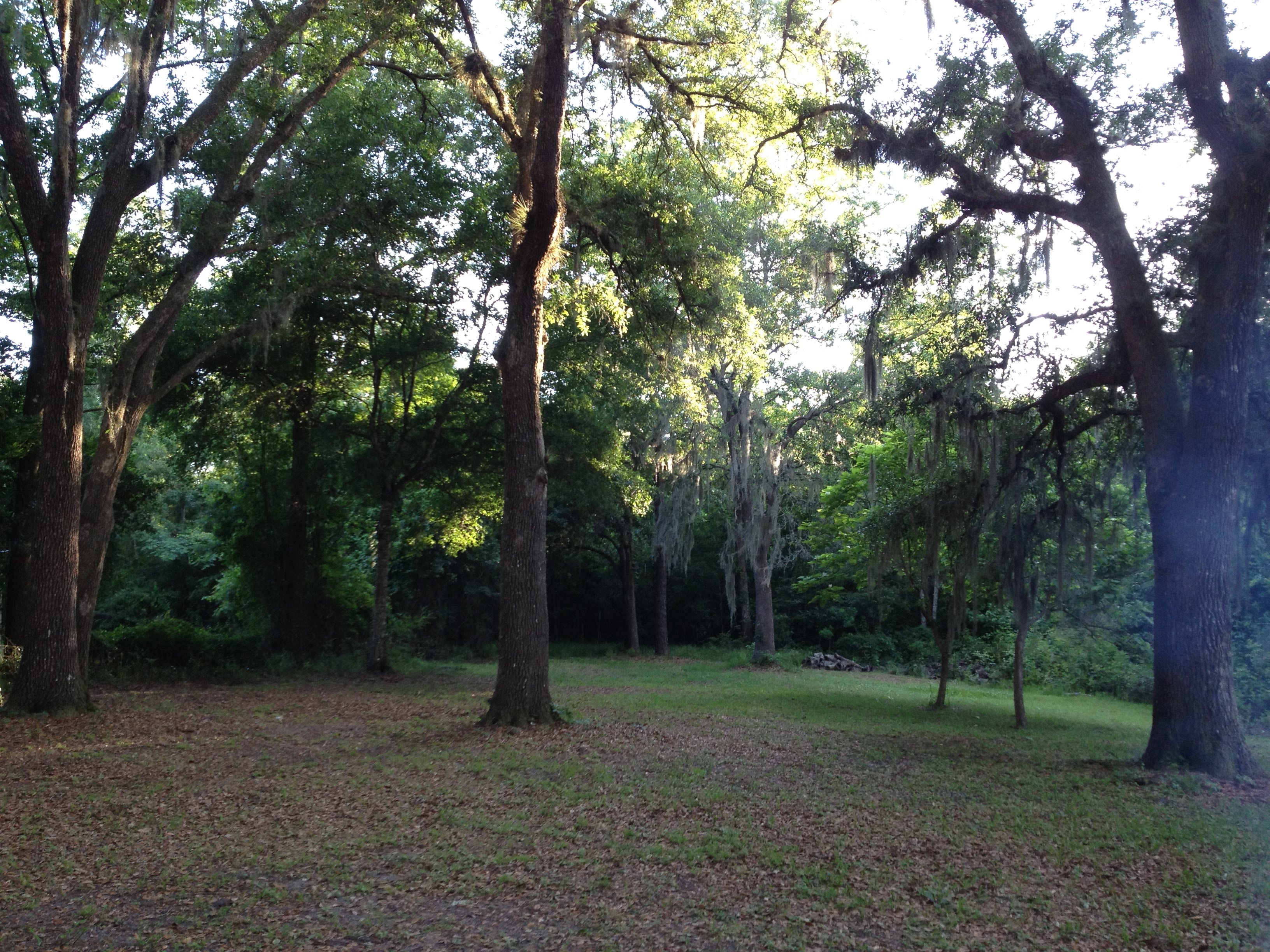 Animal Lover's RV Site